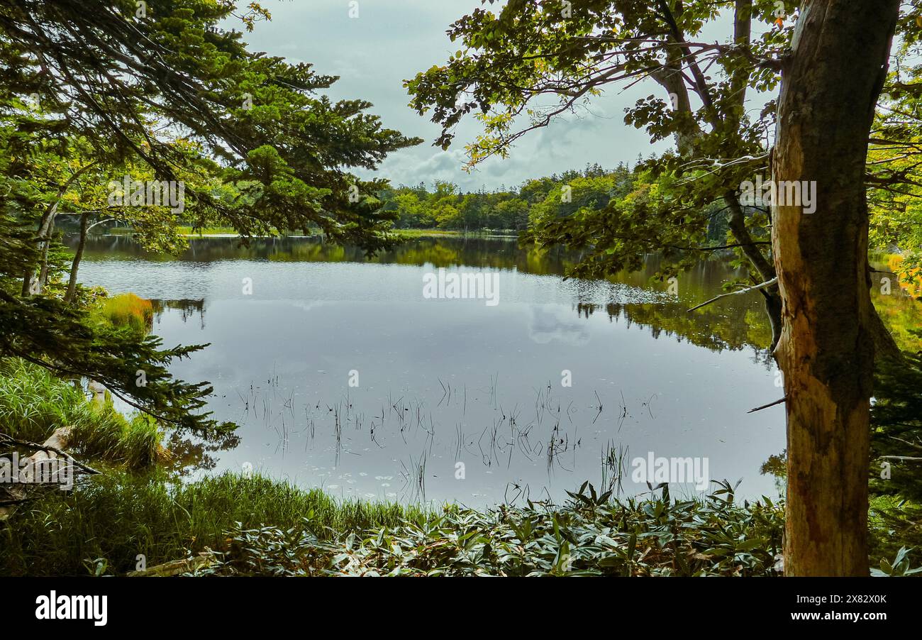 A tranquil scenic view on a late summer afternoon at a corner of the third lake in the Shiretoko Goko National Park, eastern Hokkaido, Japan. Stock Photo