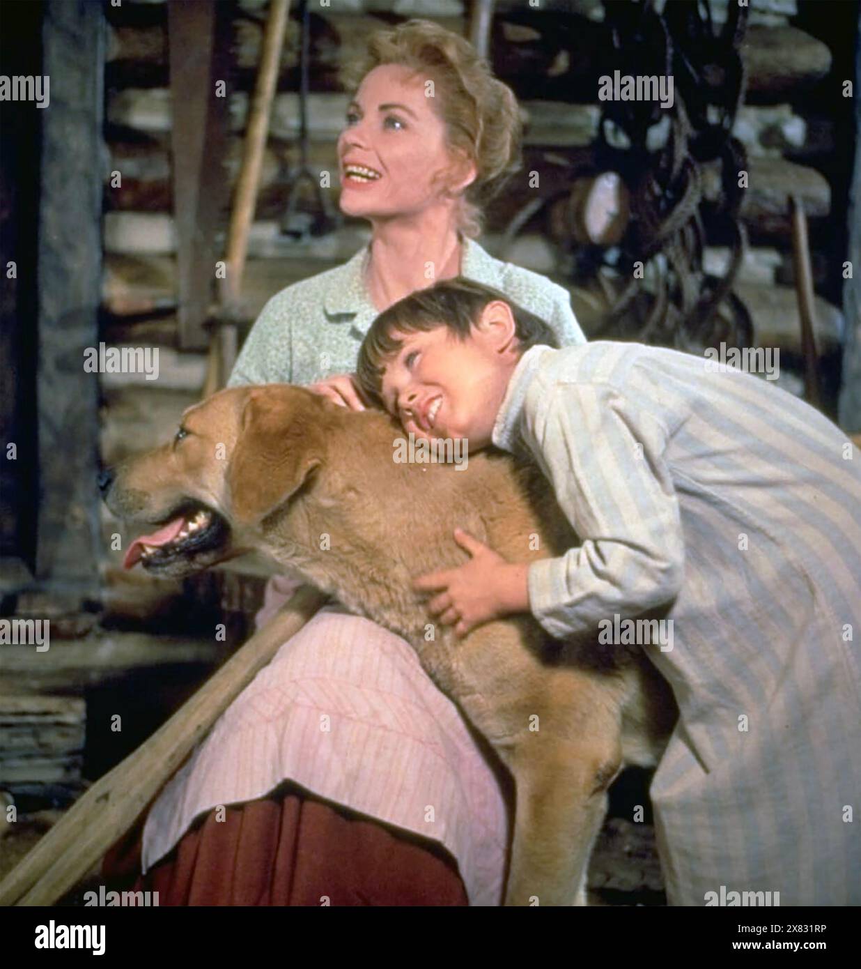 OLD YELLER 1957 Walt Disney Productions film with Beverly Washburn