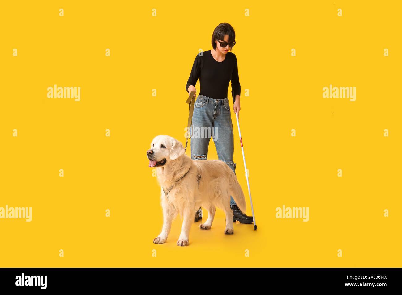 Blind woman with guide dog on yellow background Stock Photo - Alamy