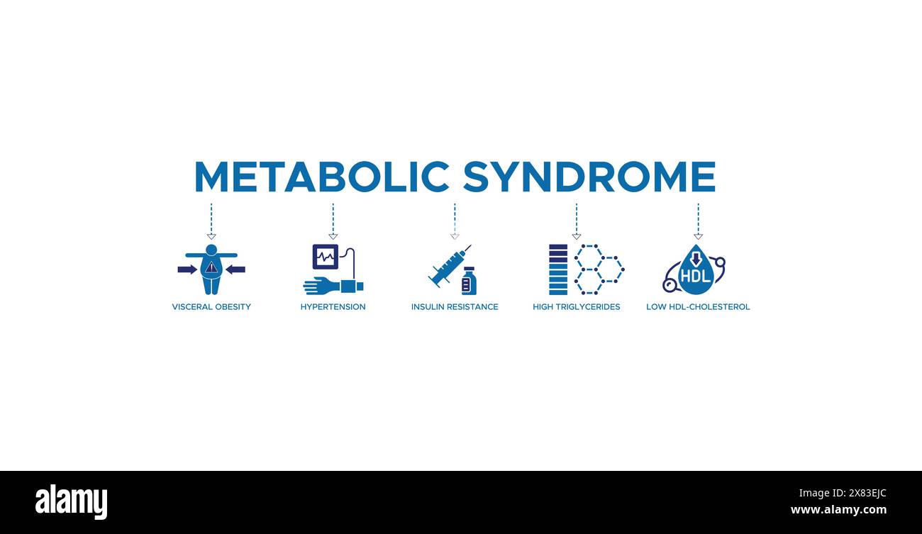 Symptoms of Metabolic Syndrome banner web icon vector illustration ...