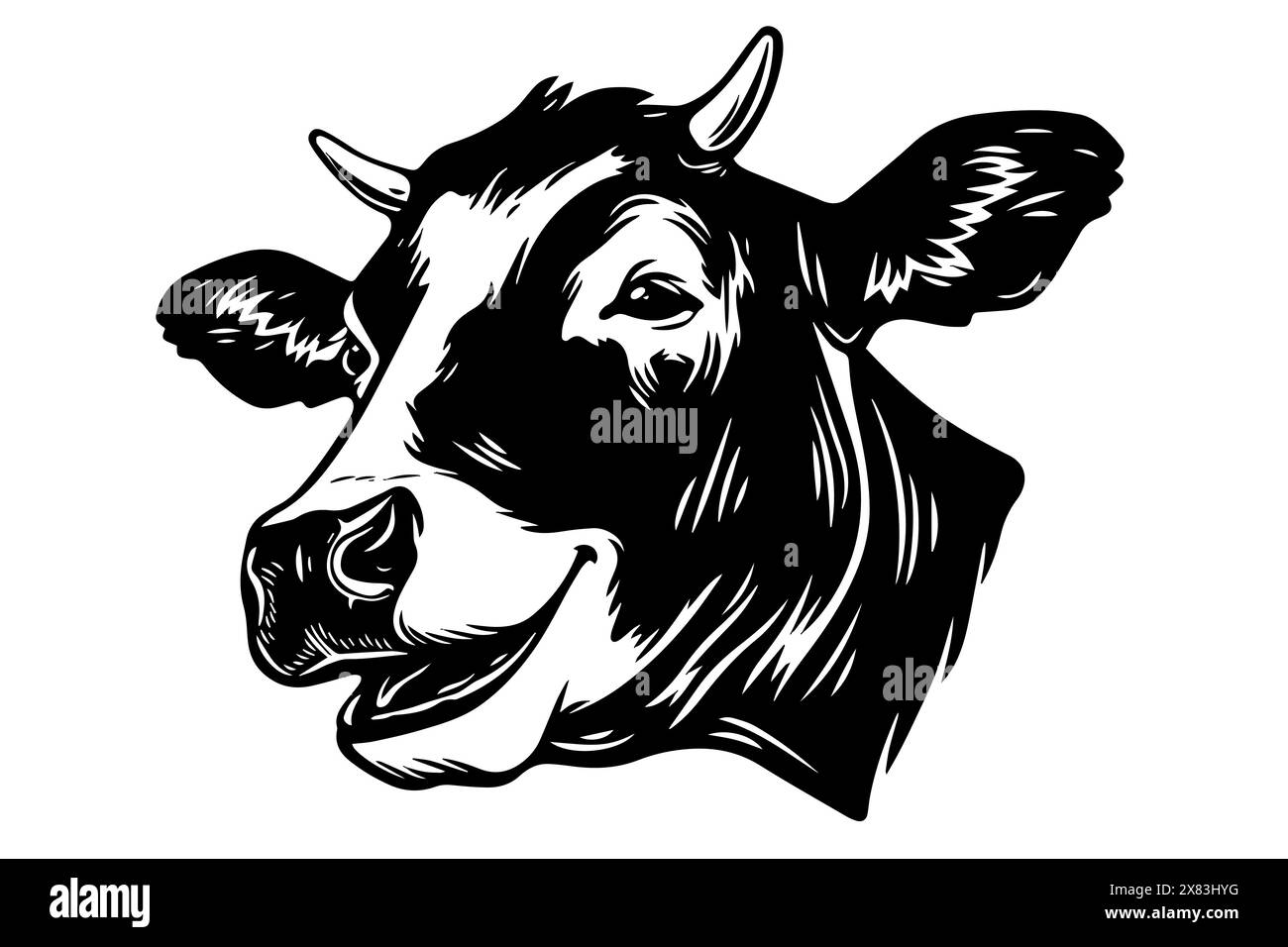 Happy Holstein: Smiling Cow Head Logo in Vintage Style Vector Illustration. Stock Vector