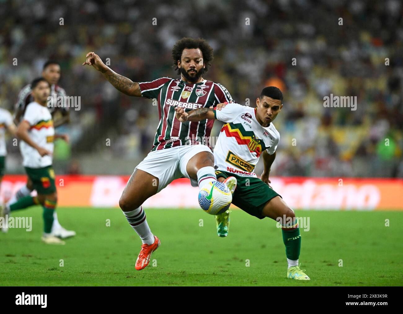 Copa de brasil 2024 hires stock photography and images Alamy