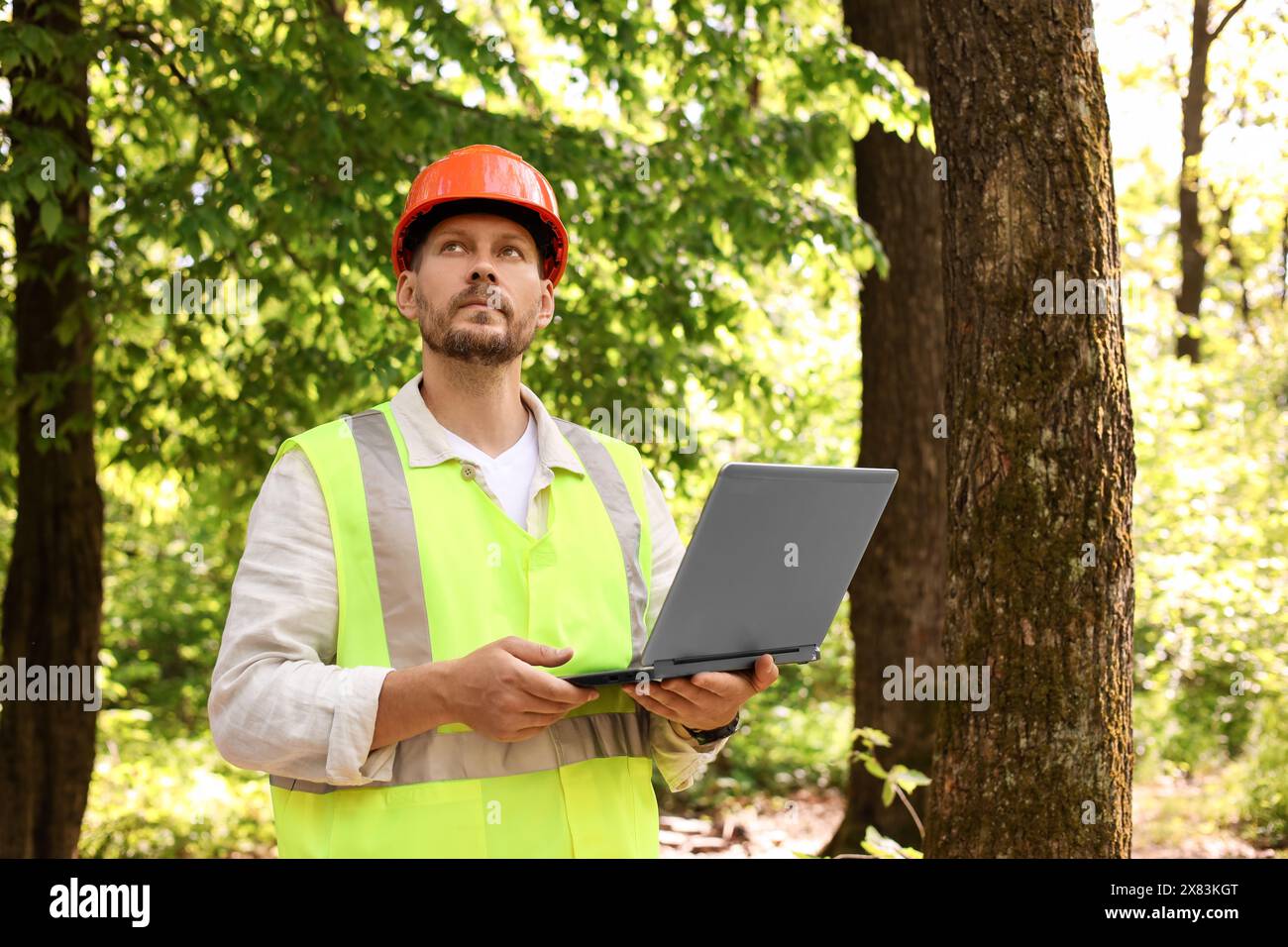 Forester in hard hat with laptop working in forest Stock Photo