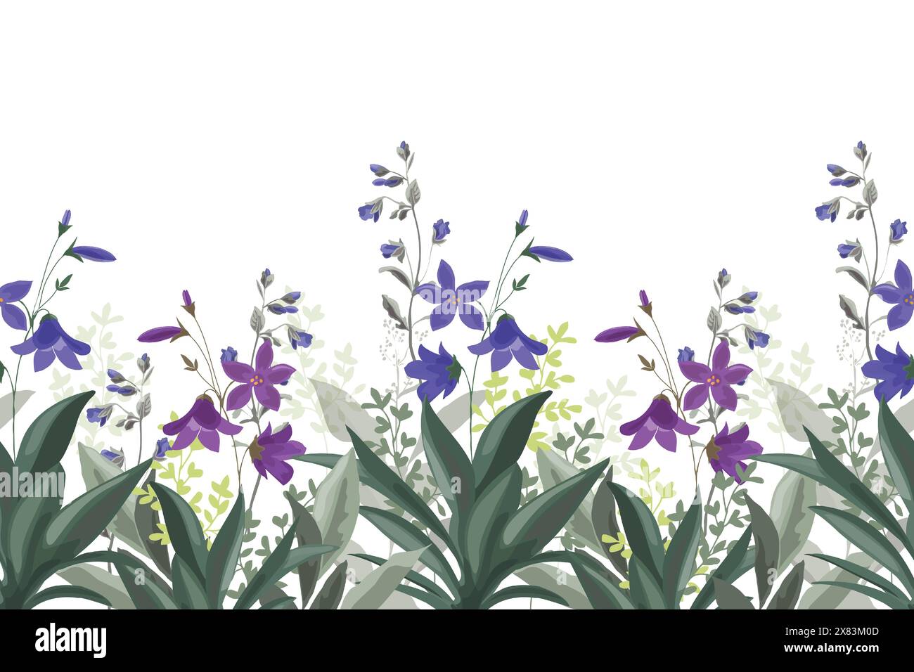 Floral seamless horizontal pattern, border with meadow flowers Stock ...