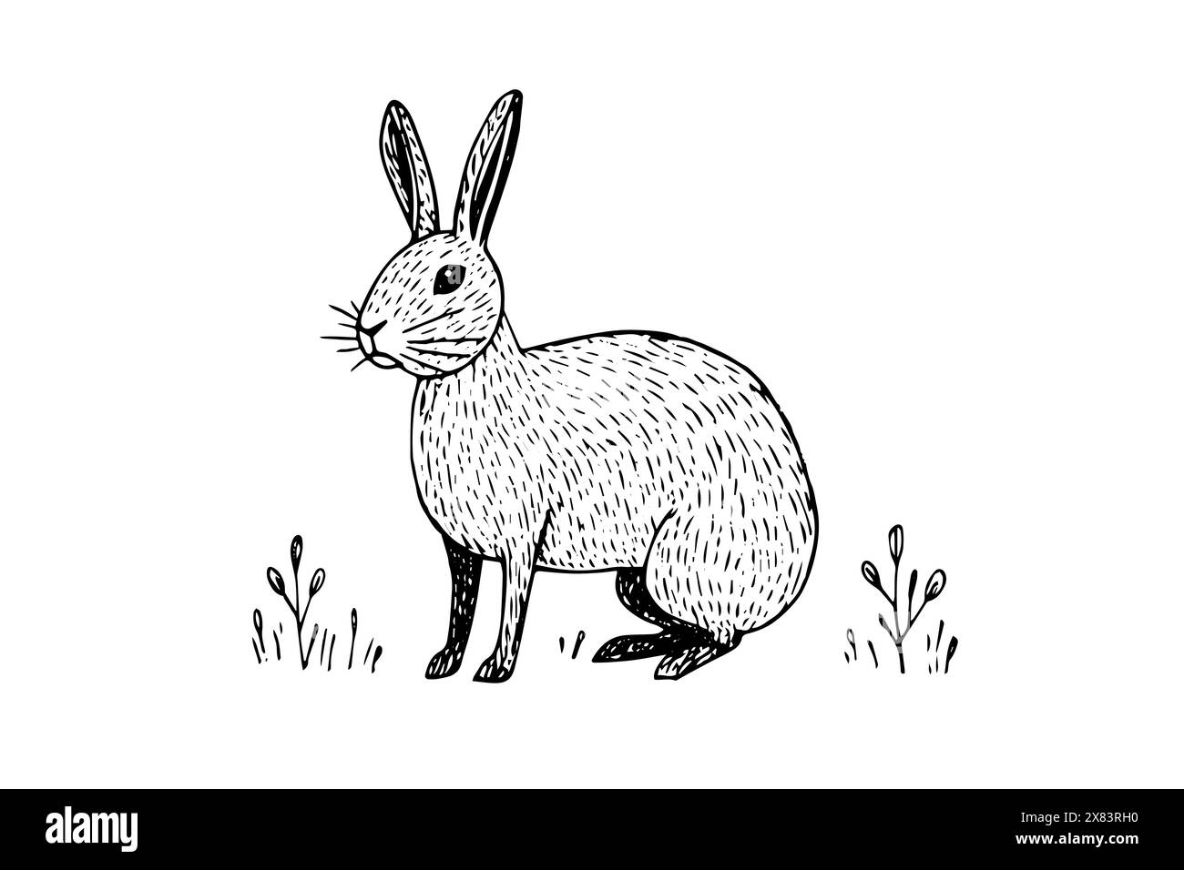 Vintage Rabbit Sketch: Hand-Drawn Vector Illustration, Easter Bunny. Stock Vector