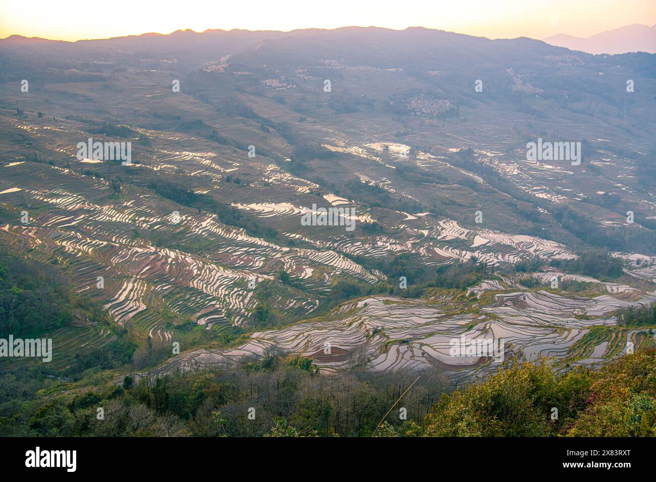 Yuan Yang Rice Terraces - Bada under the sunset in Yunnan province of China. Close up image with copy space Stock Photo