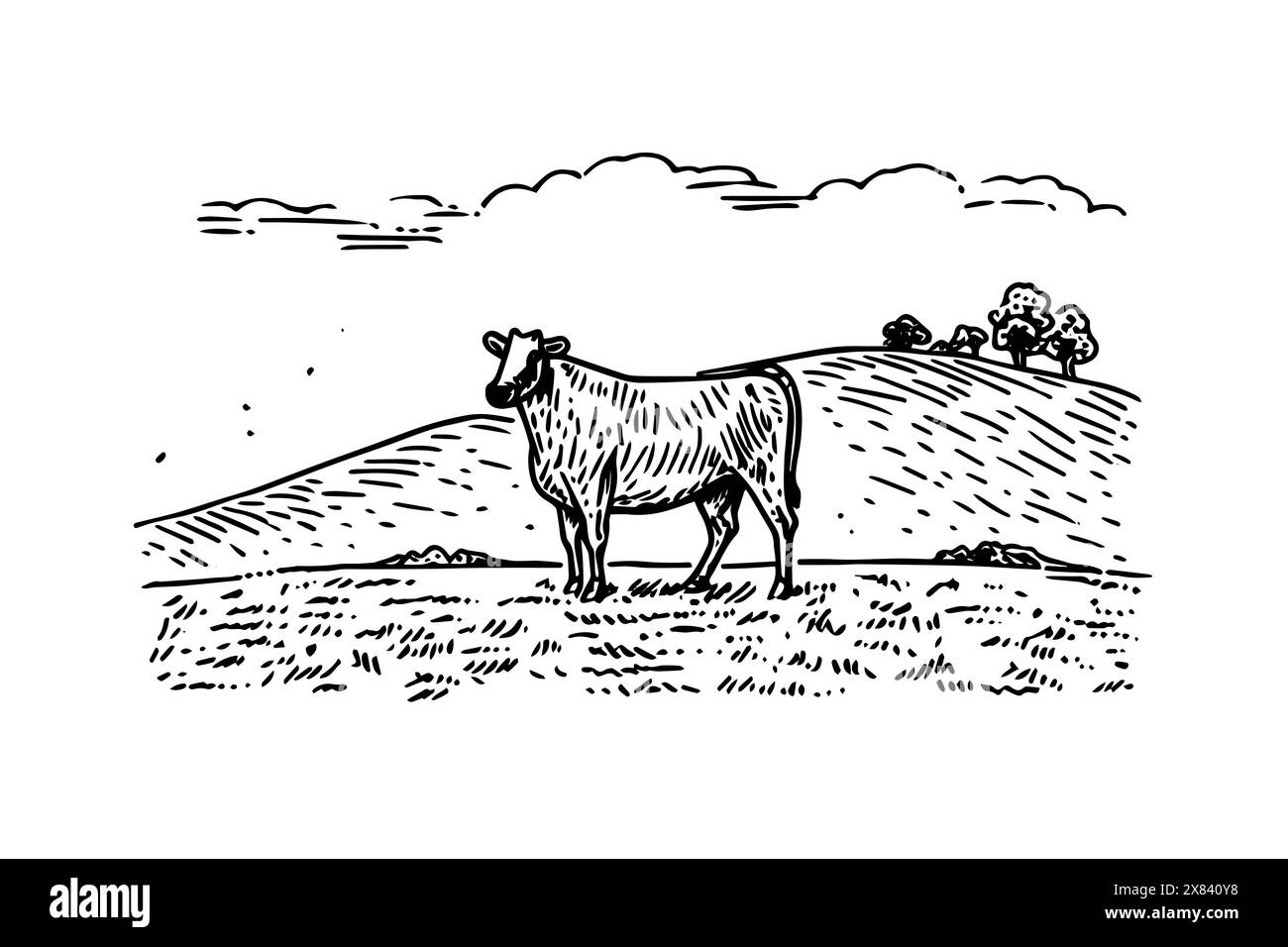 Vintage Farm Life: Hand-Drawn Vector Illustration of Dairy Cattle