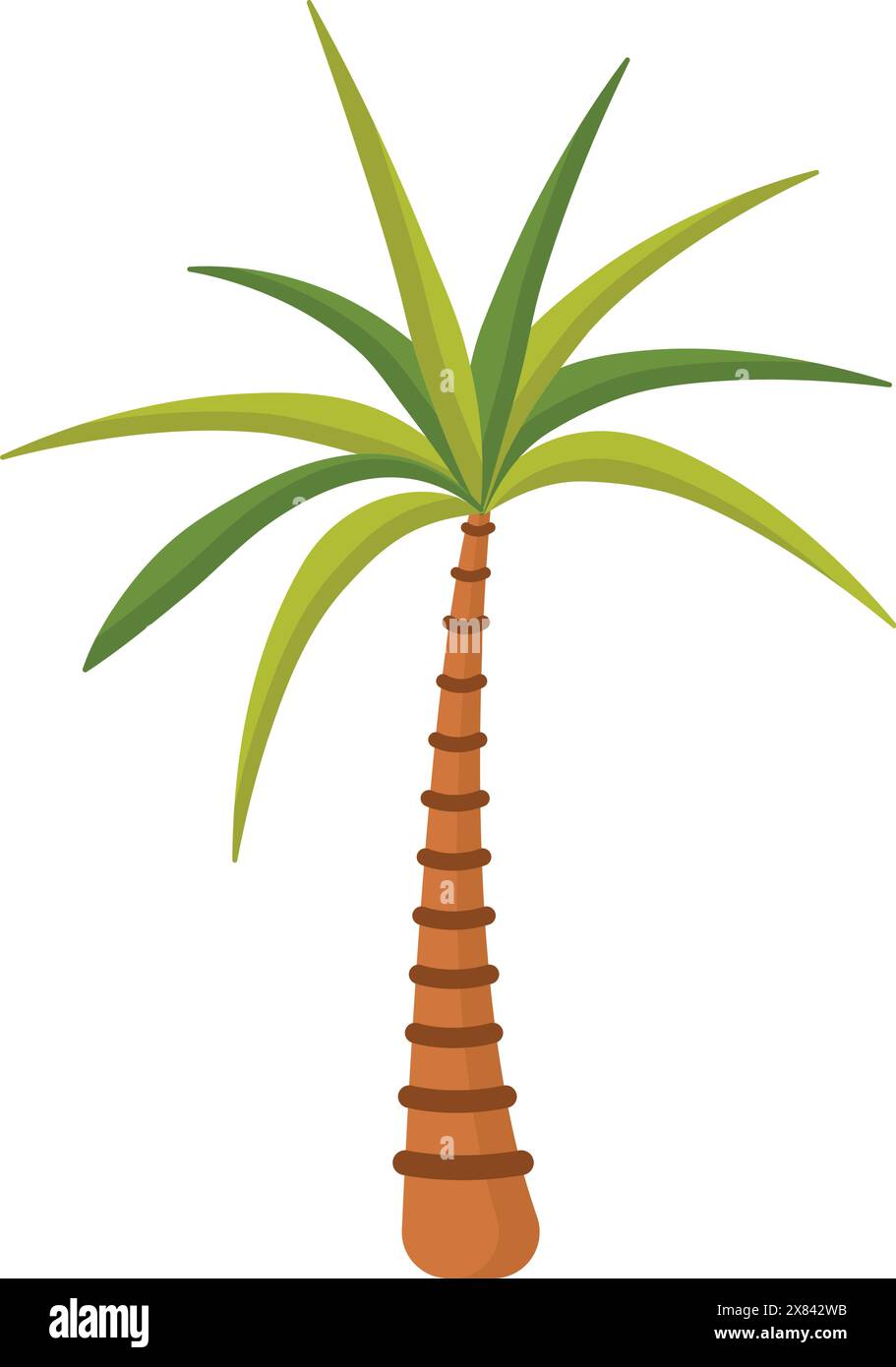 tropical palm tree Stock Vector Image & Art - Alamy