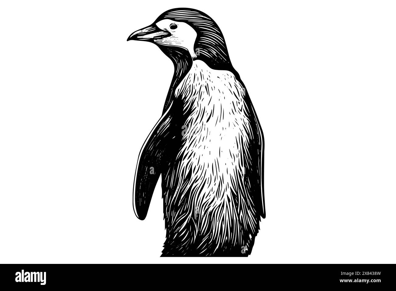 Engraved Sketch of a Cute Baby Penguin: Vector Animal Illustration of
