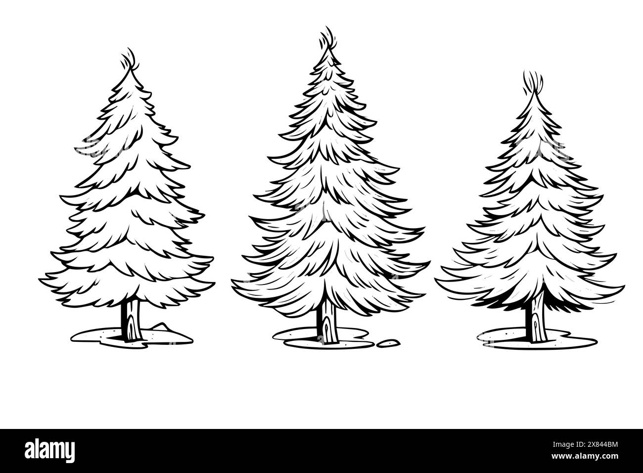 Spruce sketch in engraving style silhouette. Tree pine simple vector set. Stock Vector