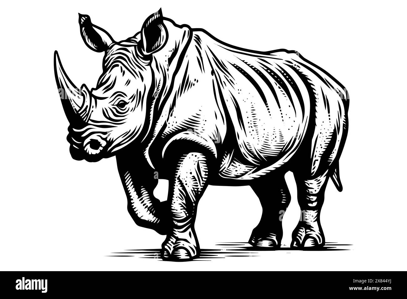 Rhino hand drawn ink sketch. Engraved lined style with bold lines . Black and white vector. Stock Vector