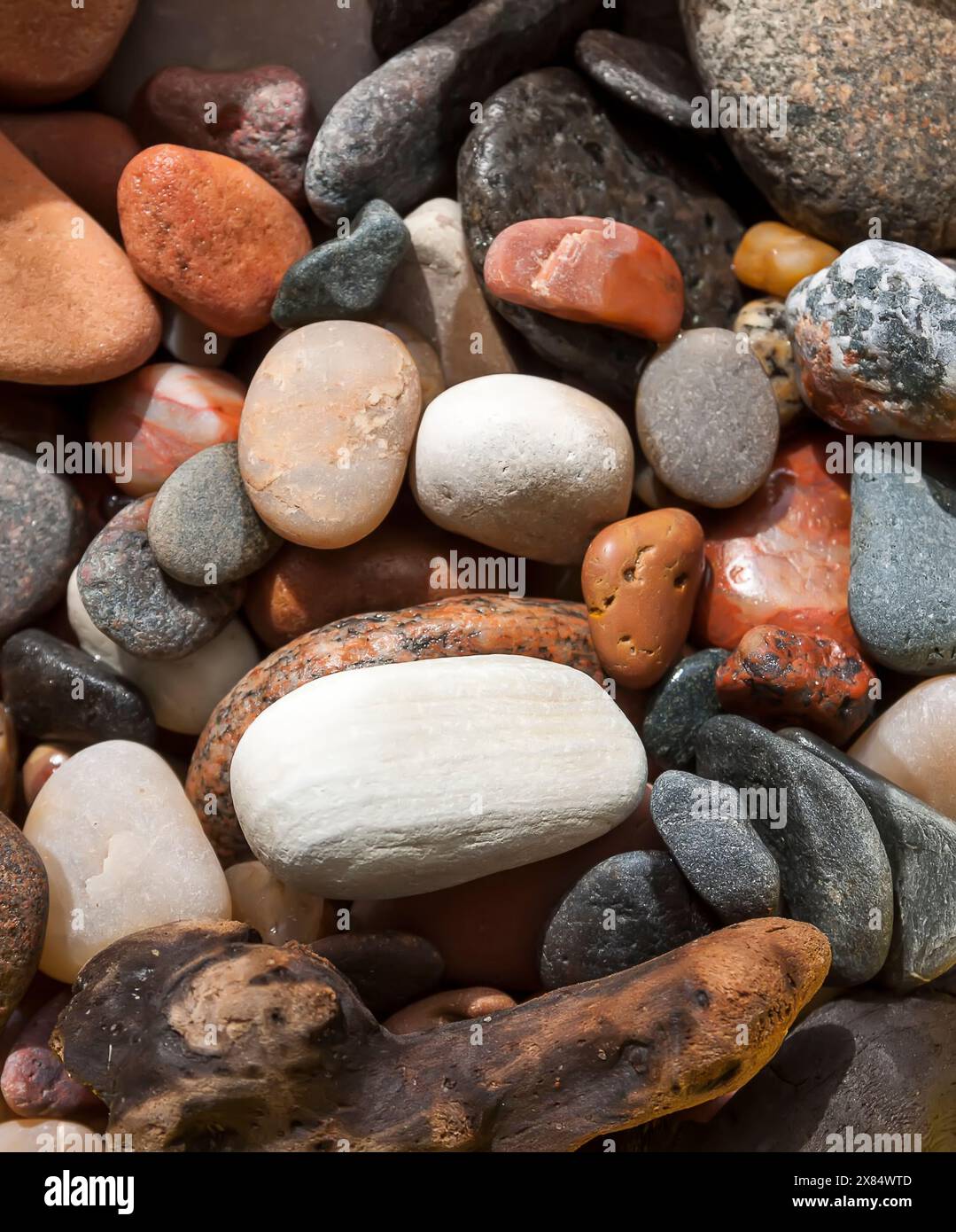 Sooth Rocks Sea rocks background. Different form colorful smooth stones Stock Photo ...
