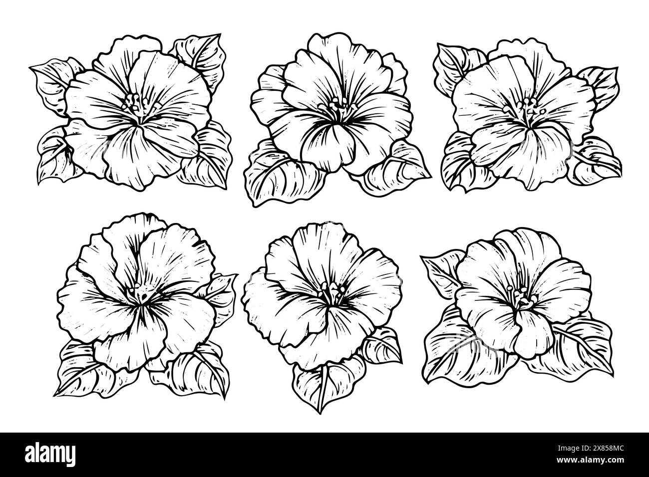 Hibiscus flower hand drawn ink sketch. Engraved style vector ...