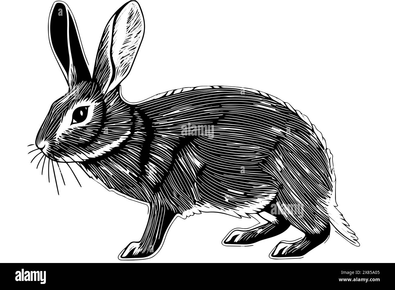 Vintage Hand-Drawn Rabbit Vector Illustration: Sketch of a Hare in Retro Style. Stock Vector