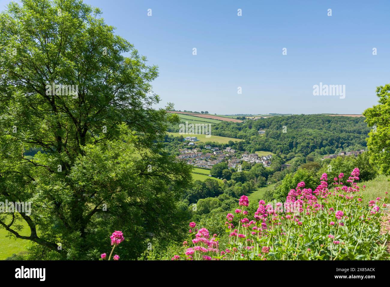 The hamlet of Taddiport from Great Torrington Common on Castle Hill, Devon, England. Stock Photo