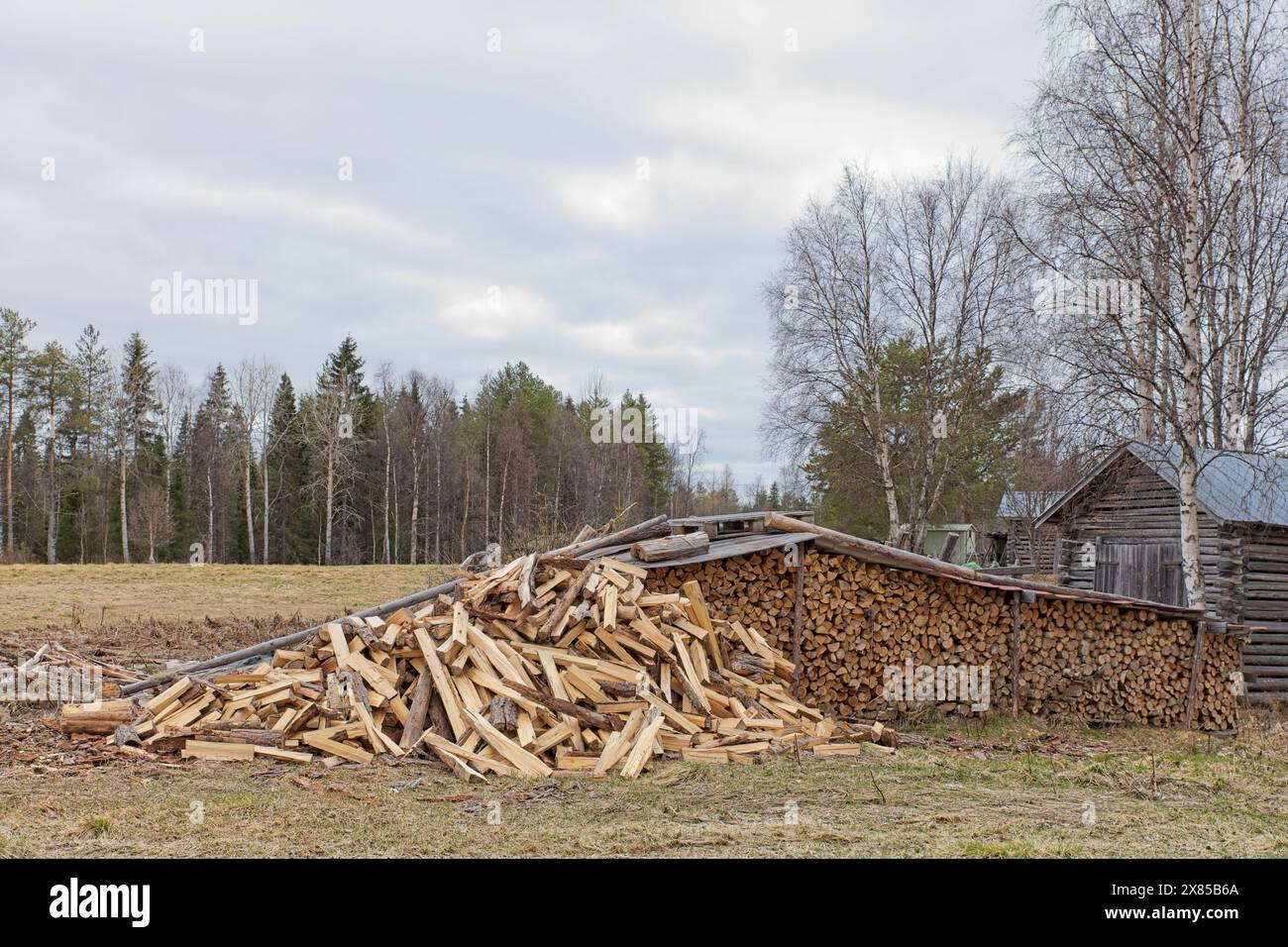 Firewood pile of roughly chopped wood stored outside of farm in cloudy spring weather. Stock Photo