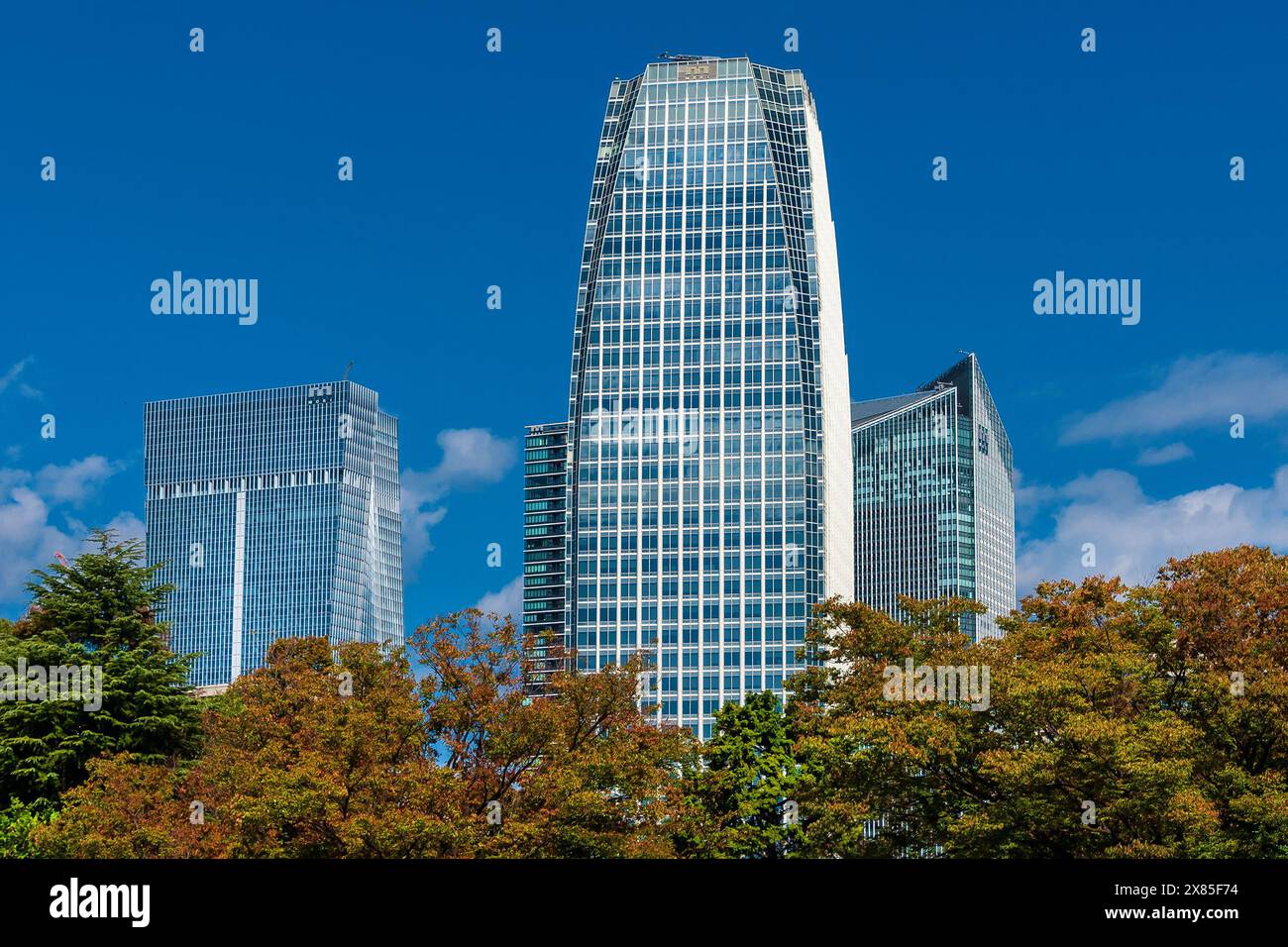 Moder narchitecture in Japan. Minato Ward skyscrapers in Tokyo Stock Photo