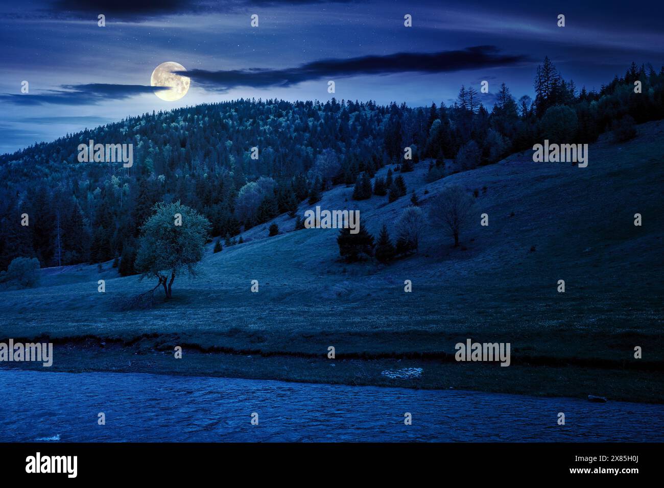 mountainous landscape with river at night. scenery with forest on the hill and trees on the grassy shore in full moon light Stock Photo
