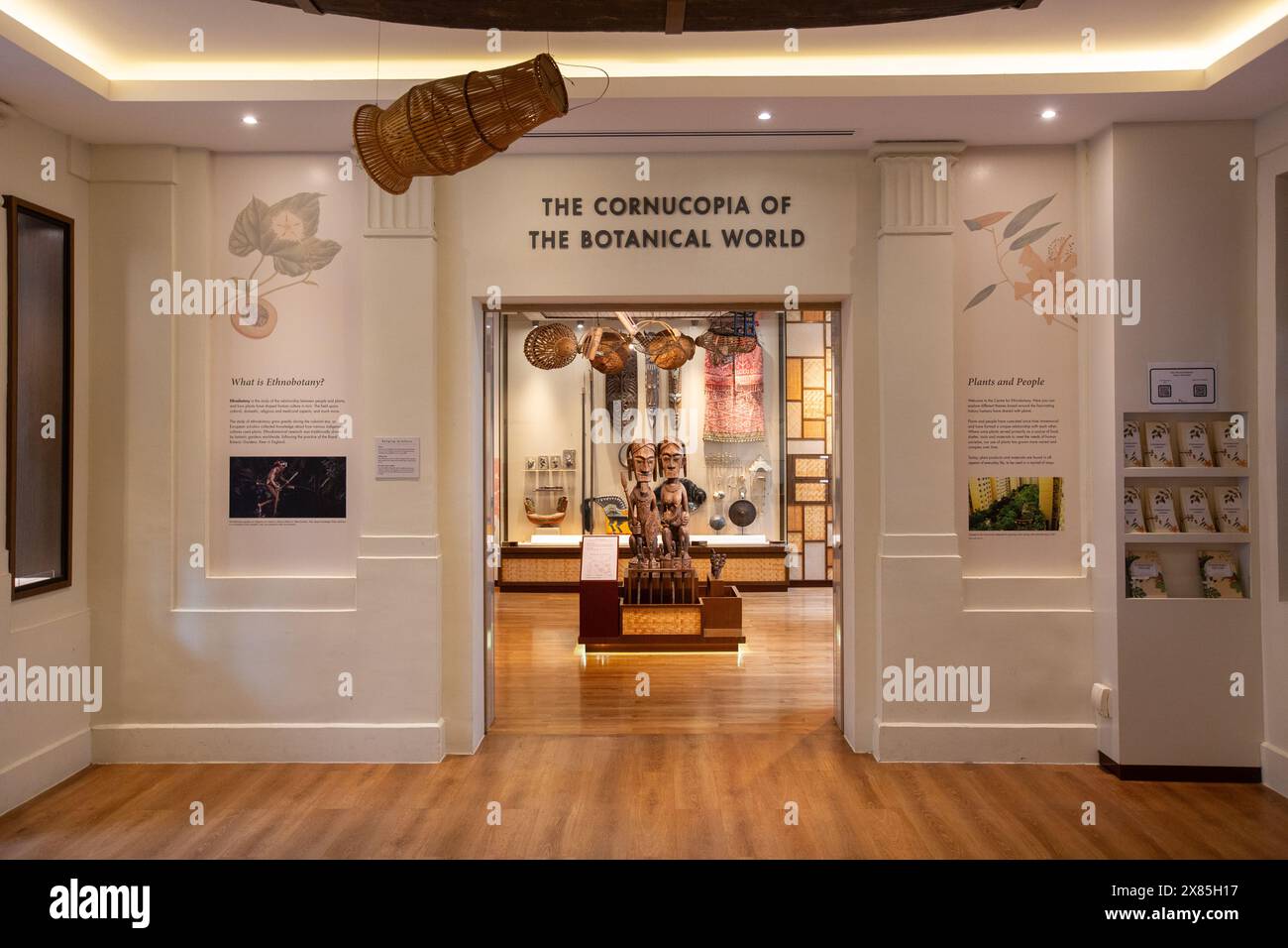 Interior design of The Cornucopia of the Botanical World. Free ...