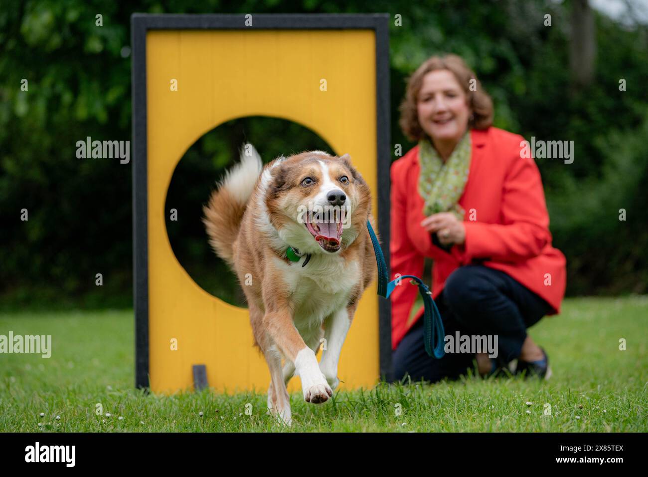 EDITORIAL USE ONLY Alfie and FinchSaunders MS at Senedd Dog of