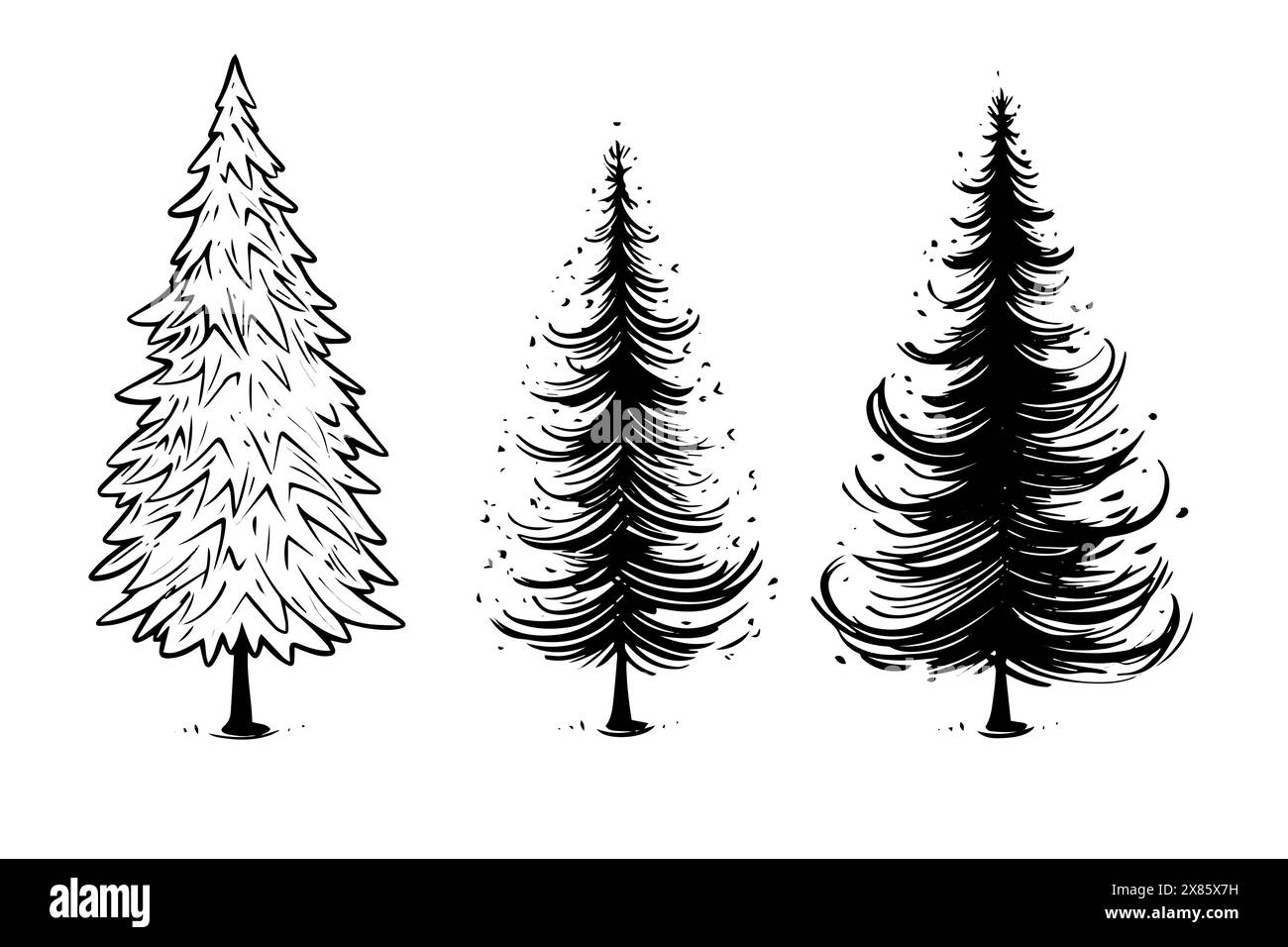 Spruce sketch in engraving style silhouette. Tree pine simple vector pack. Stock Vector
