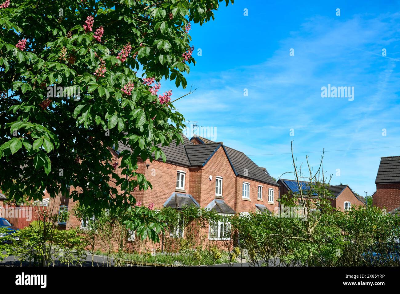 Modern housing estate in Kirkham,UK Stock Photo Alamy