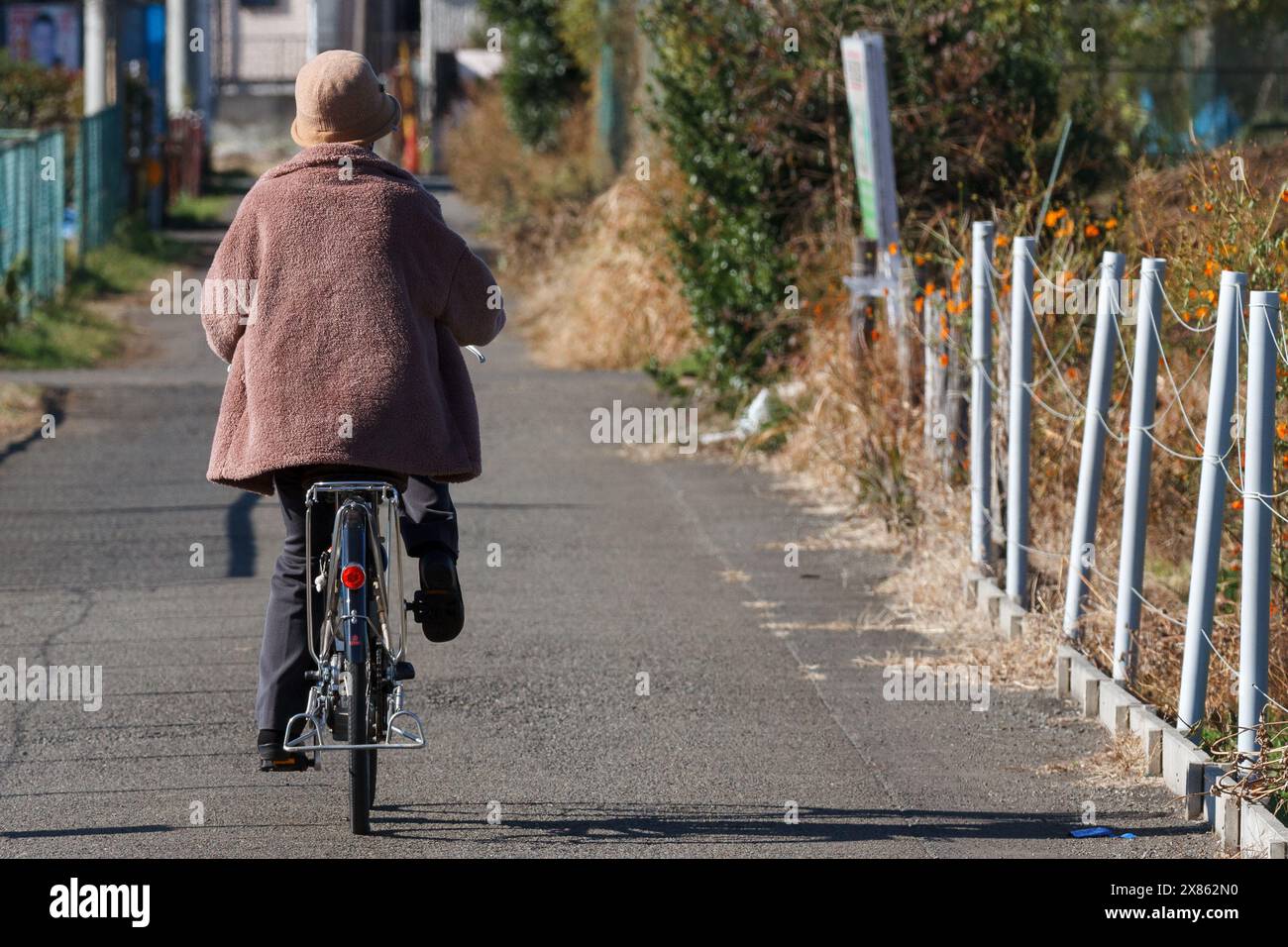 An older Japanese woman rides a bicycle in rural Kanagawa, Japan. Stock Photo