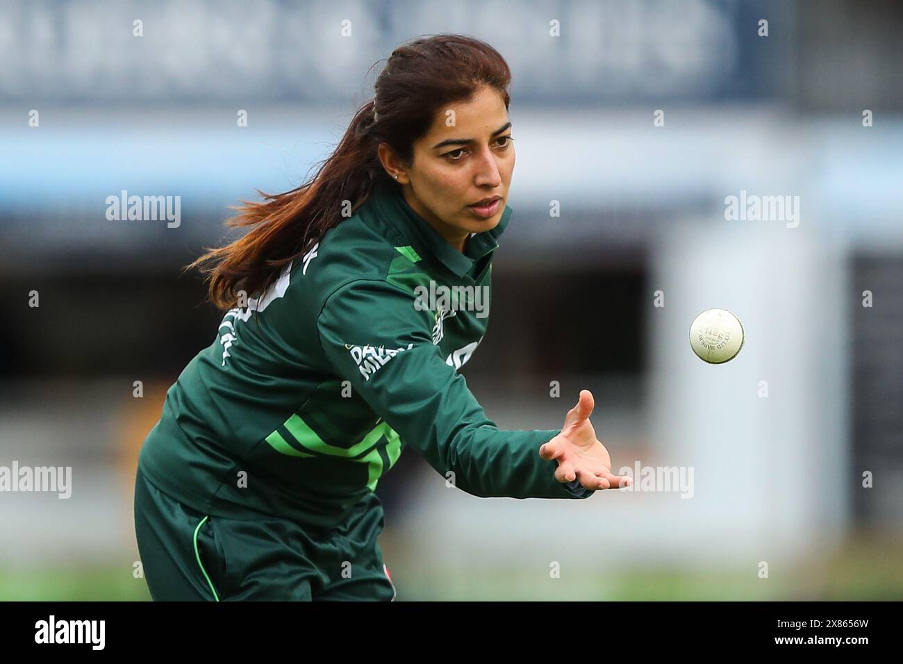 Aliya riaz hi-res stock photography and images - Alamy
