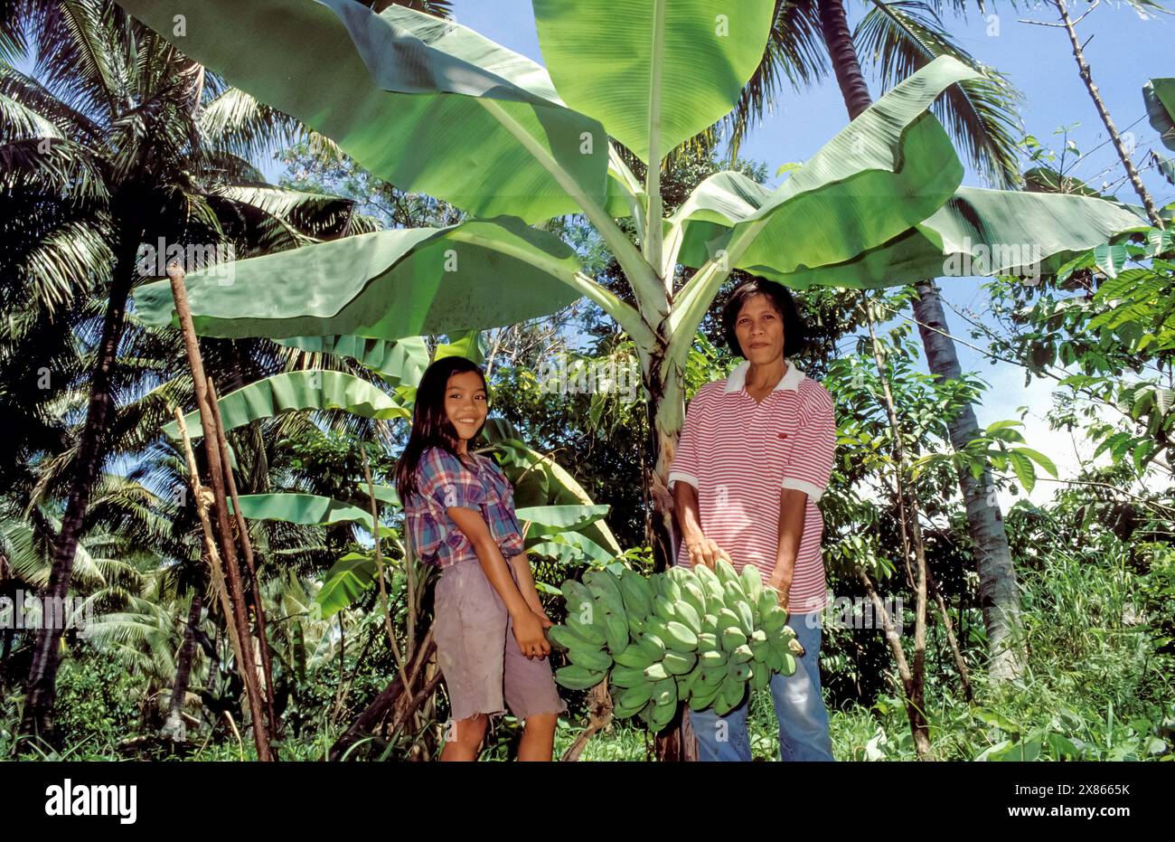 Philippines, Kilate, Mindanao; Mother and daughter with a picked bunch of bananas in their forest garden with different types of fruit trees. Stock Photo