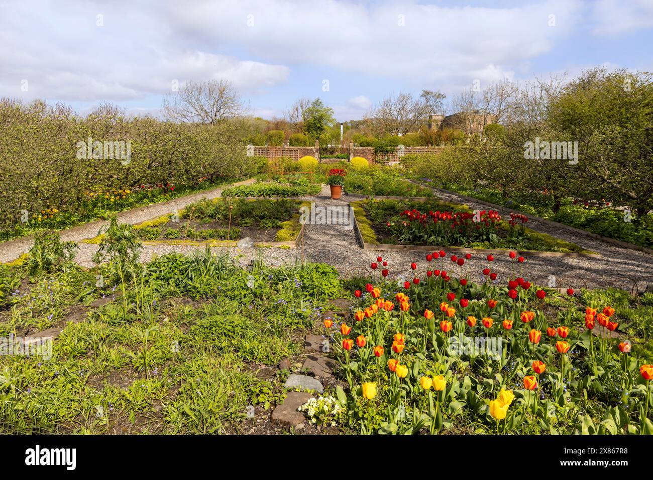 Spring in the Garden of Wordsworth House, childhood home of the poet ...