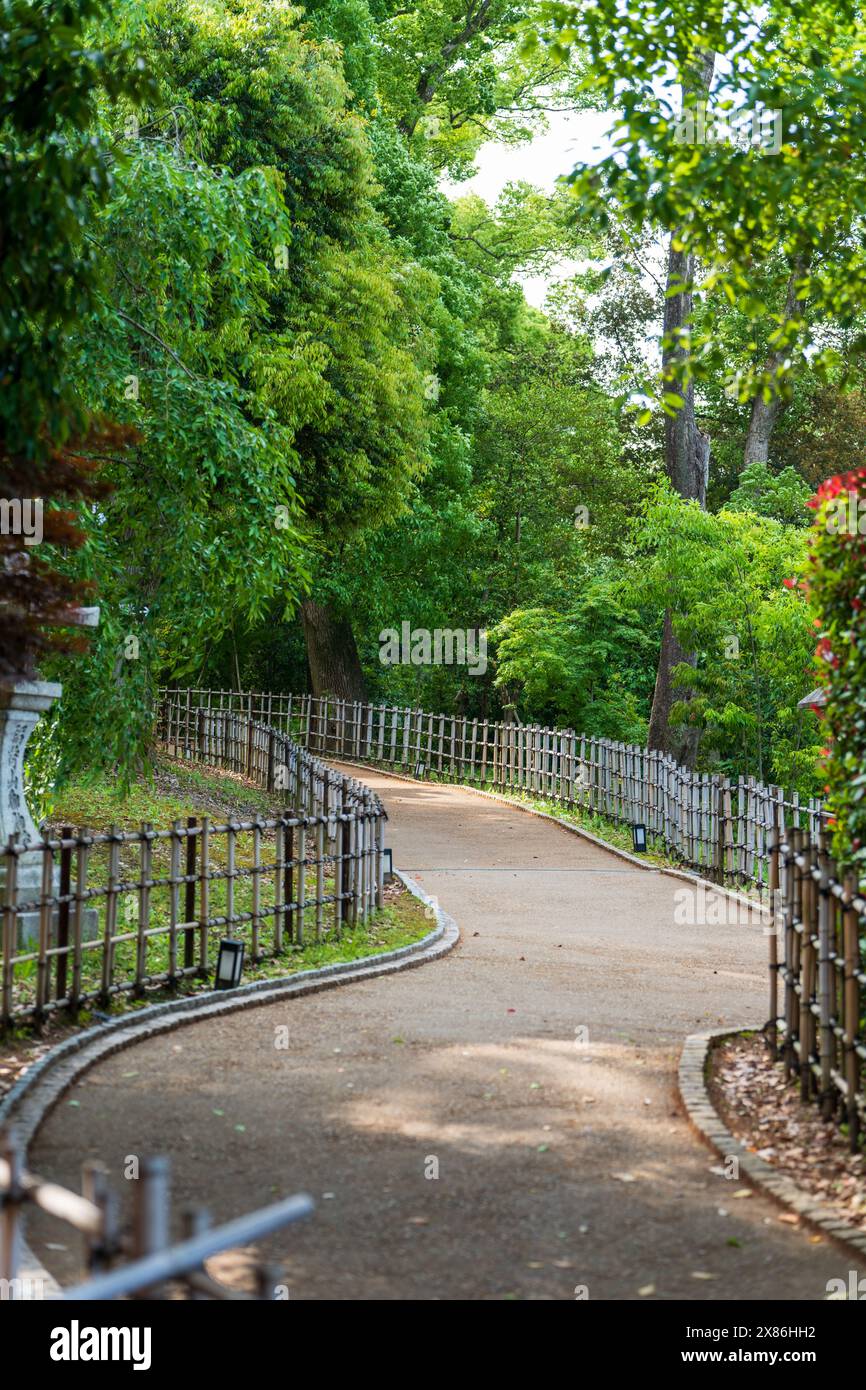 Fushimi Inari Taisha Shrine wheelchair-friendly trails to visit the ...