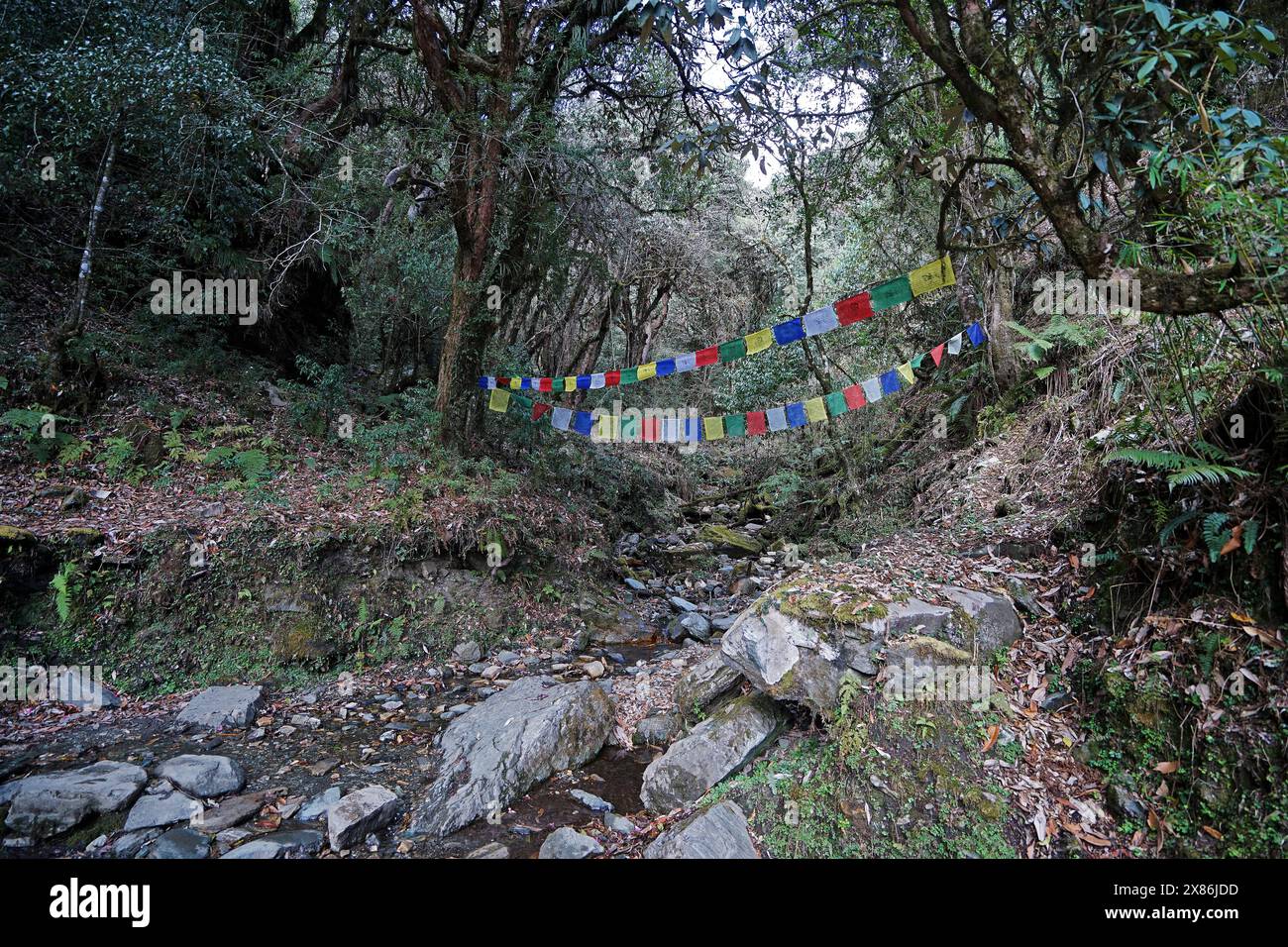 Colorful prayer flags among natural landscape of green mountain park along trekking path to Annapurna Himalayan range Stock Photo