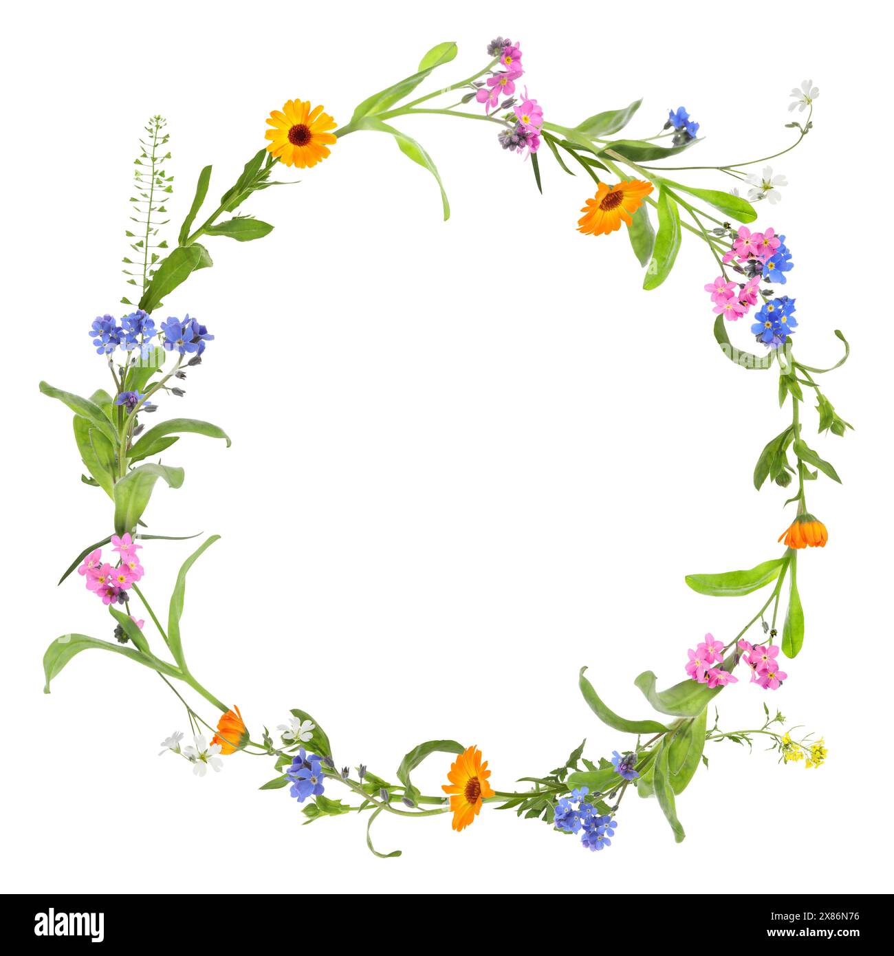 Wreath of beautiful wild flowers isolated on white Stock Photo - Alamy