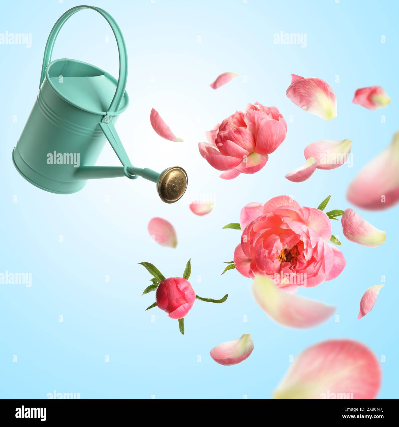 Watering Can - Coral