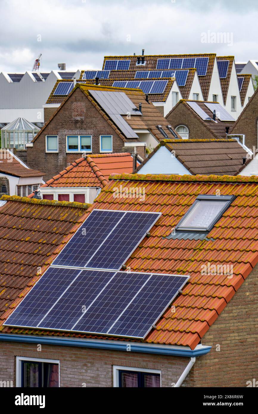 Solar modules on roofs, on pitched roofs of residential buildings, Vlissingen, Netherlands, Stock Photo