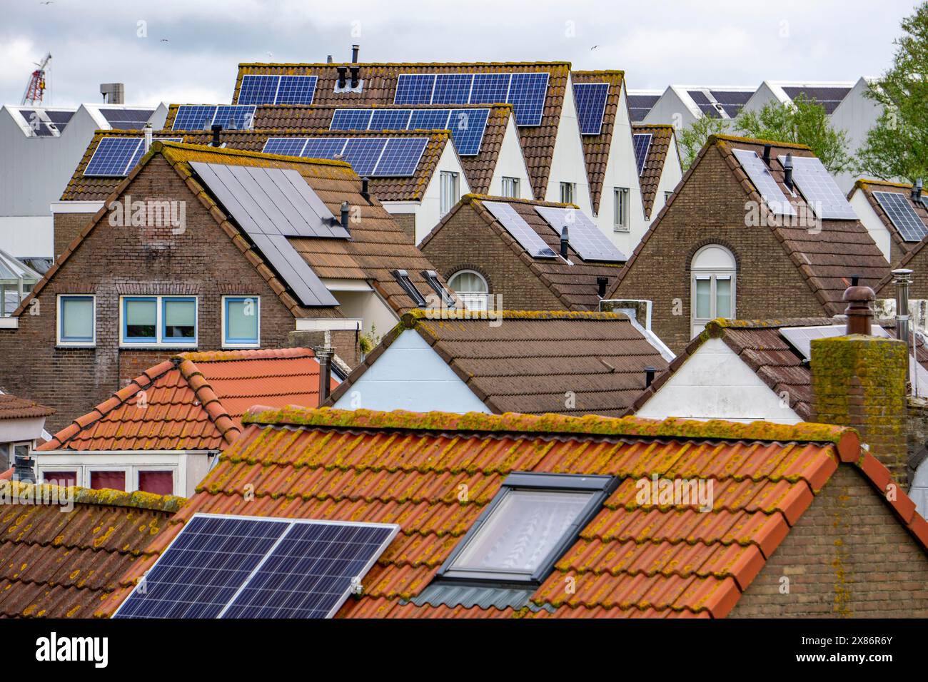 Solar modules on roofs, on pitched roofs of residential buildings, Vlissingen, Netherlands, Stock Photo