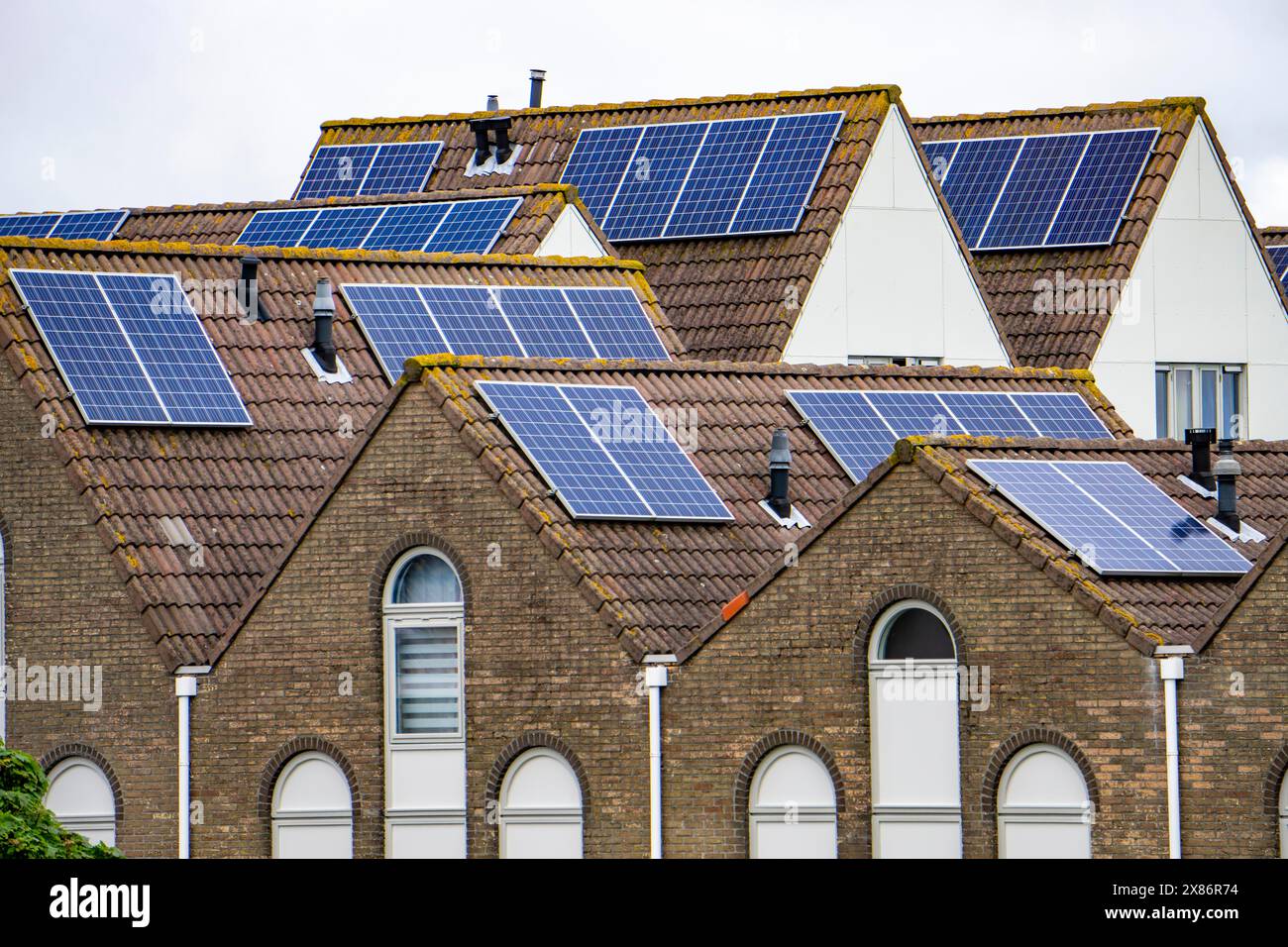 Solar modules on roofs, on pitched roofs of residential buildings, Vlissingen, Netherlands, Stock Photo