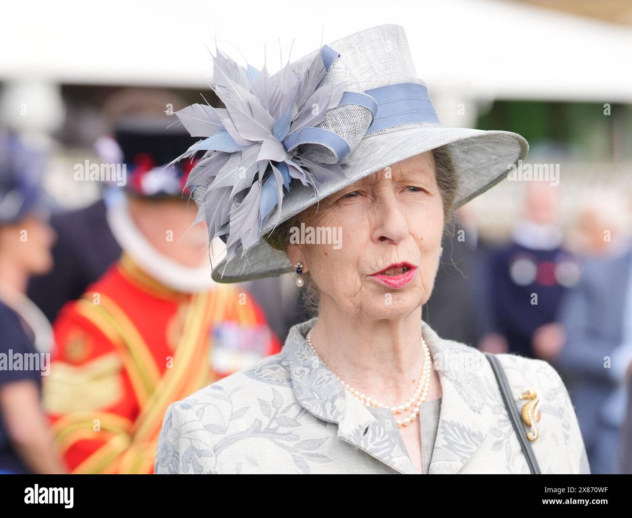 The Princess Royal meets guests during the Sovereign's Royal National ...