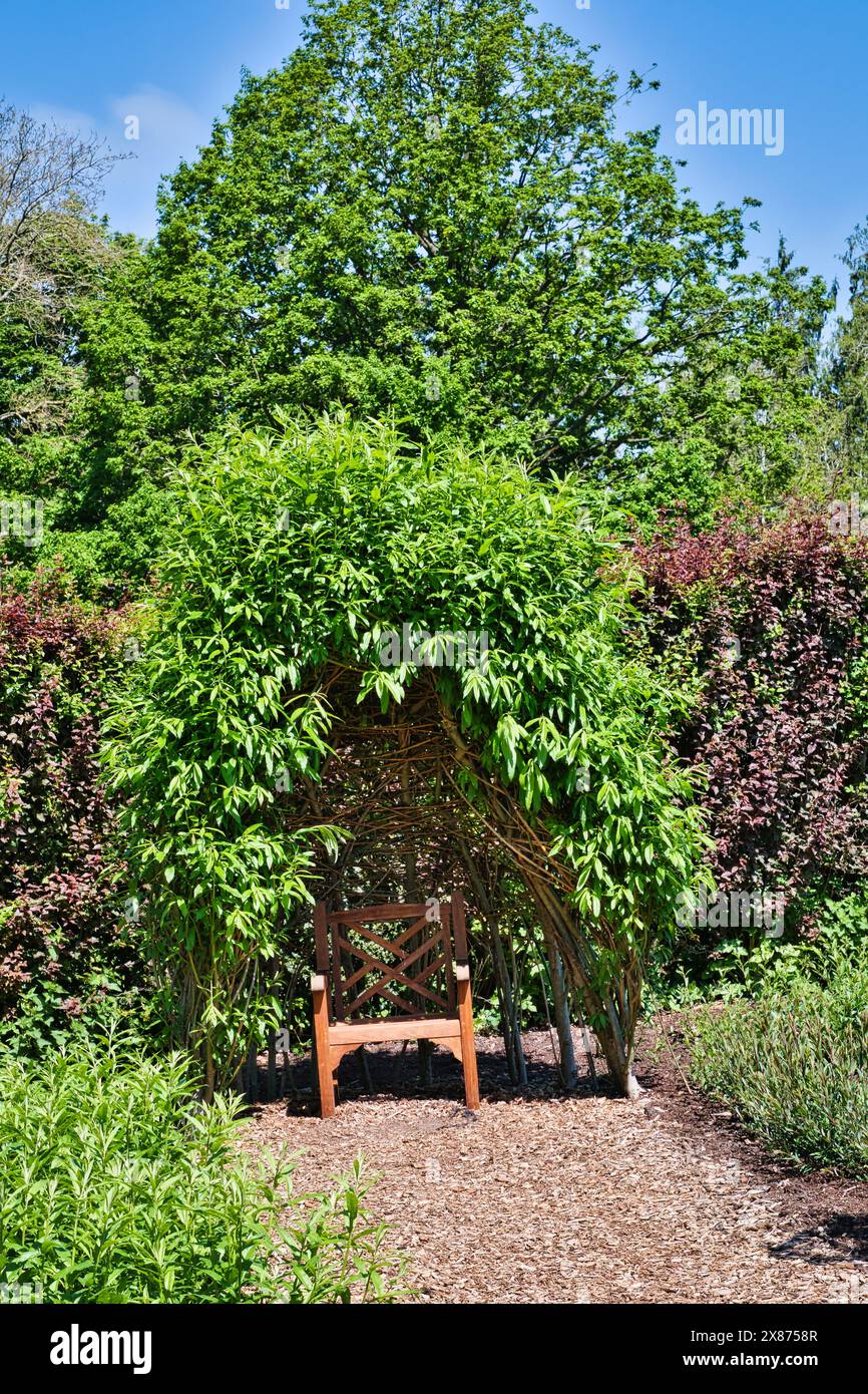 A wooden bench under a leafy green arch in a garden, surrounded by lush ...