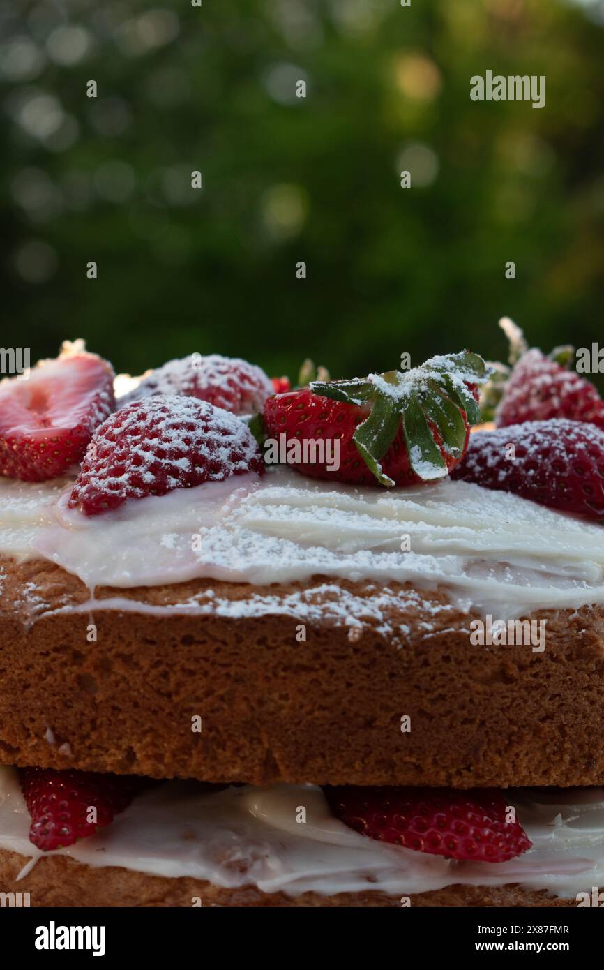 Homemade Strawberry Cake Stock Photo - Alamy