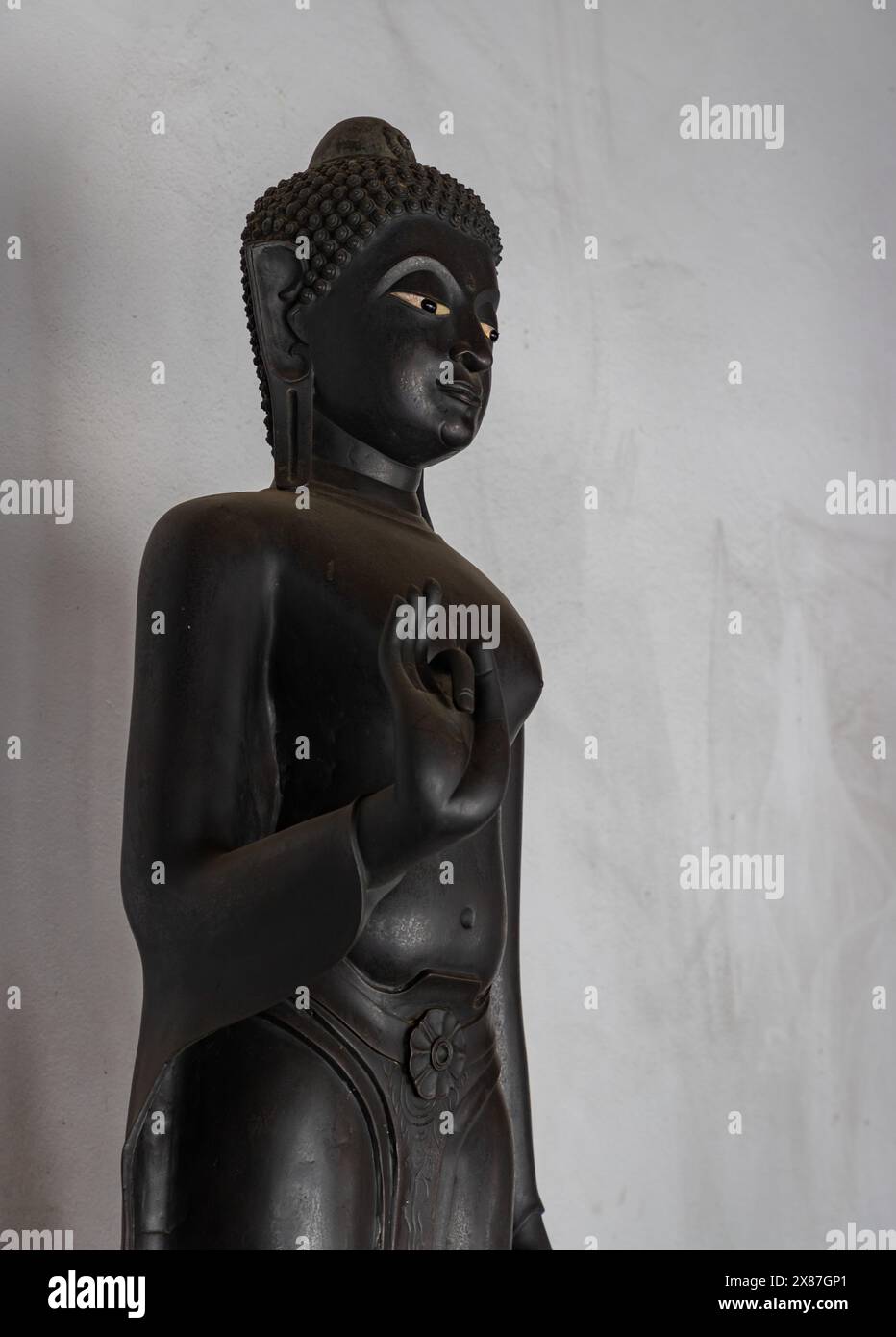 仏おパグさん:ブラック(buddha opug-san:black) Amazon.com: Crafty Jaipur Lord Buddha Yoga Room Feng Shui