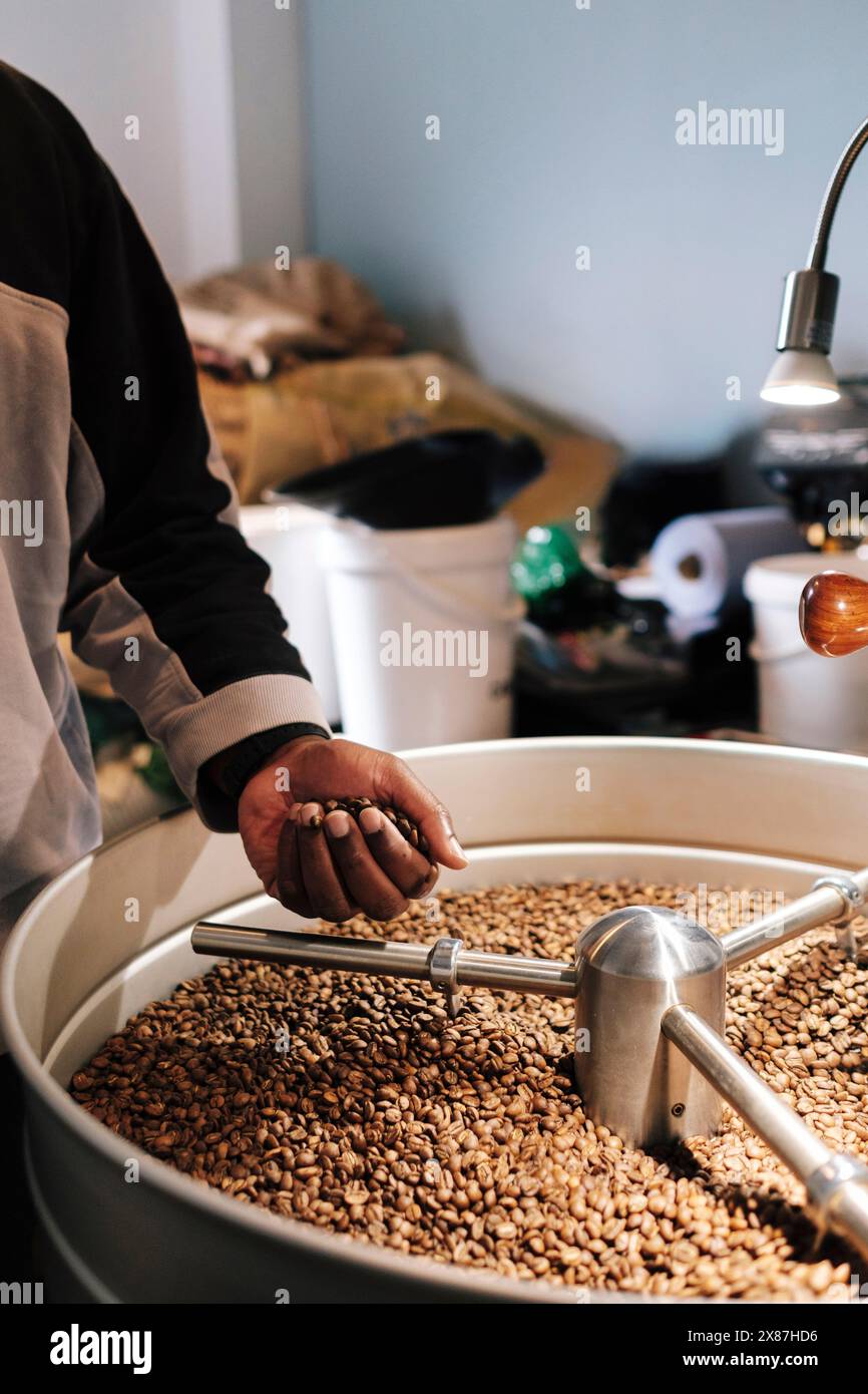 Coffee roaster with roasted coffee beans in machine Stock Photo