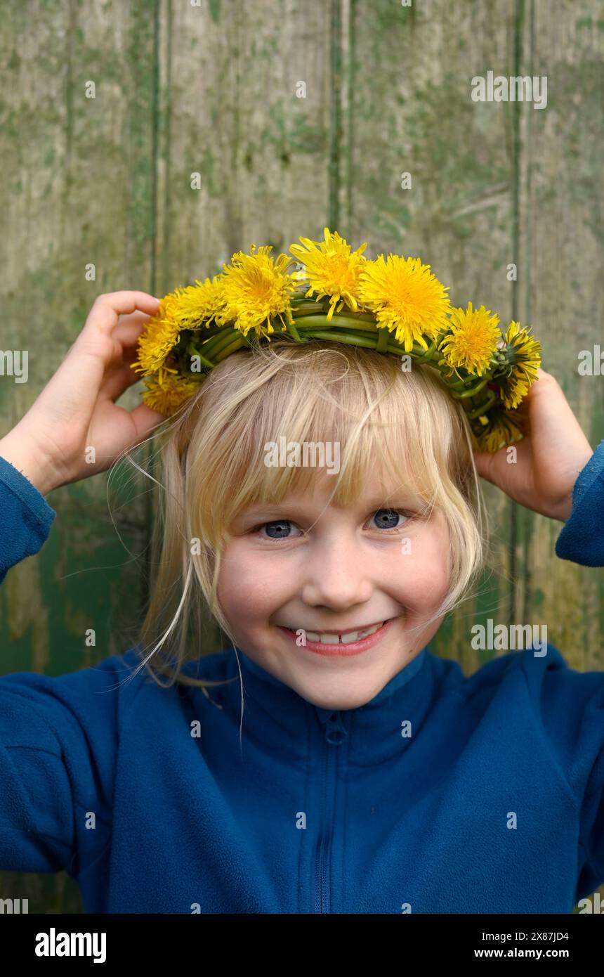 Dandelions crown hires stock photography and images Alamy