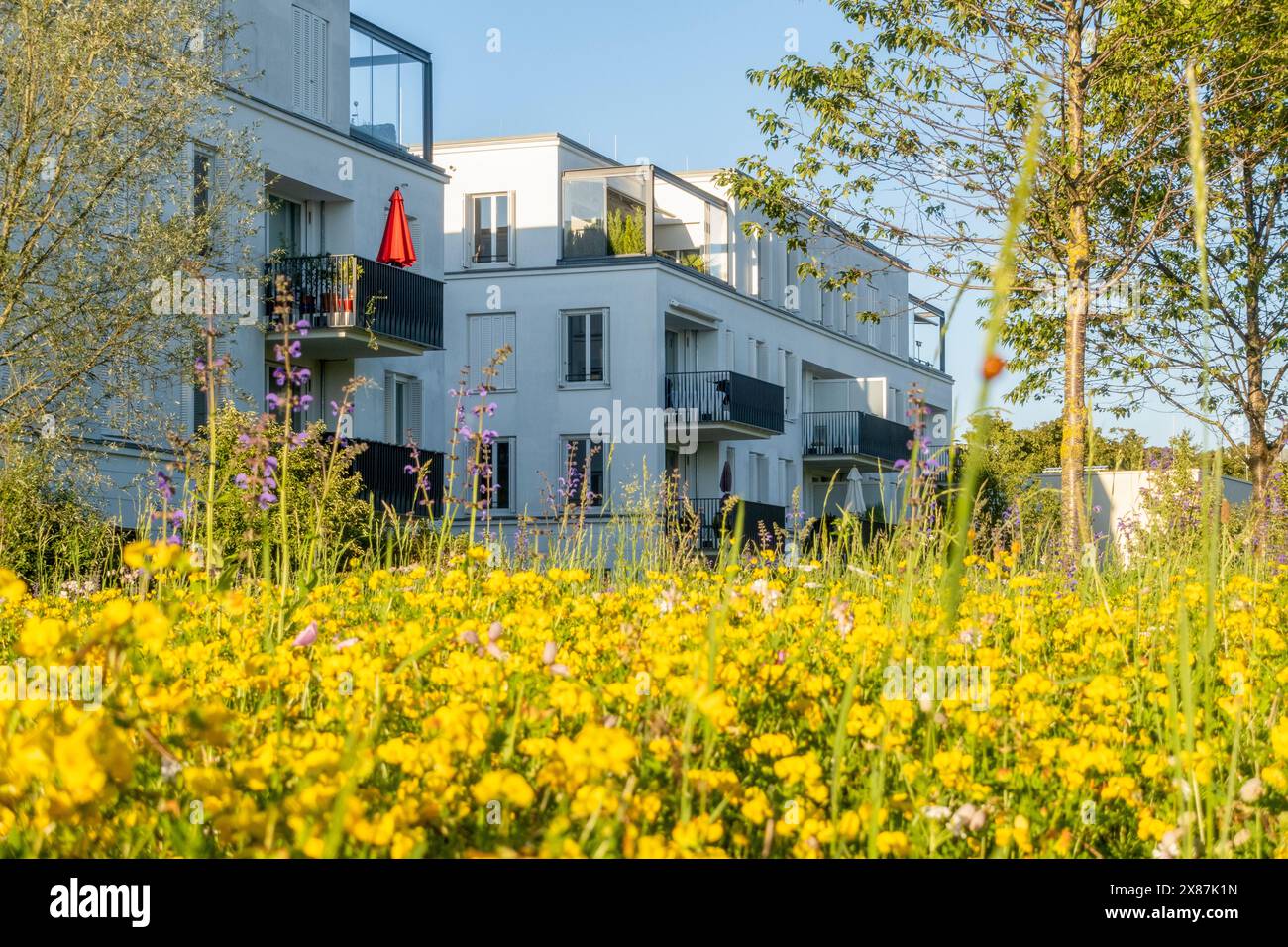 Green balconies hi-res stock photography and images - Alamy - Green Greening Of Apartment Balconies