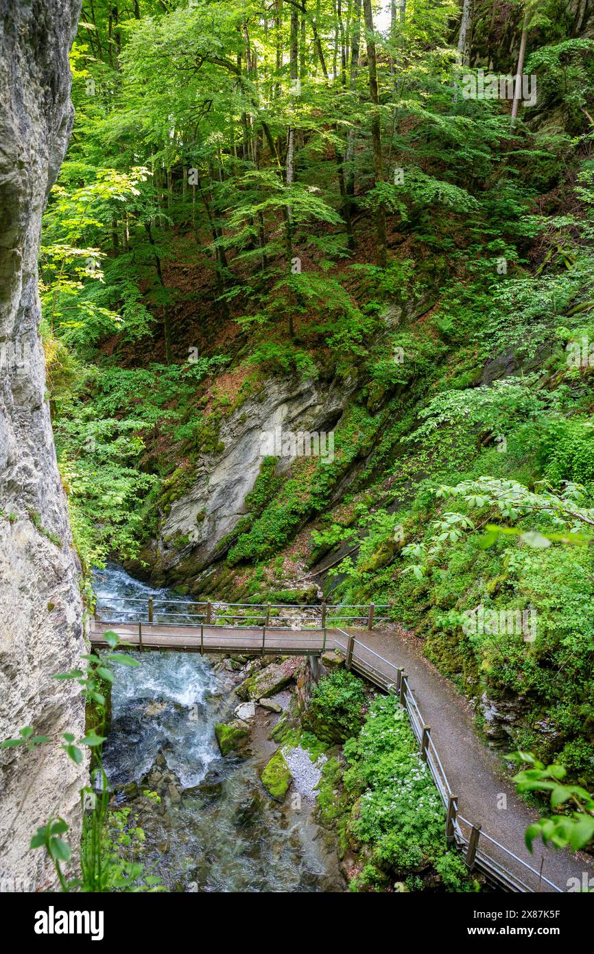 Footbridge over Thur river waterfall in forest Stock Photo