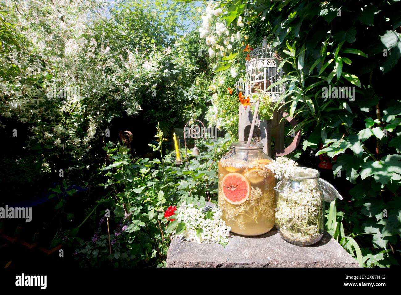 Jars of lemonade on pedestal standing in garden Stock Photo