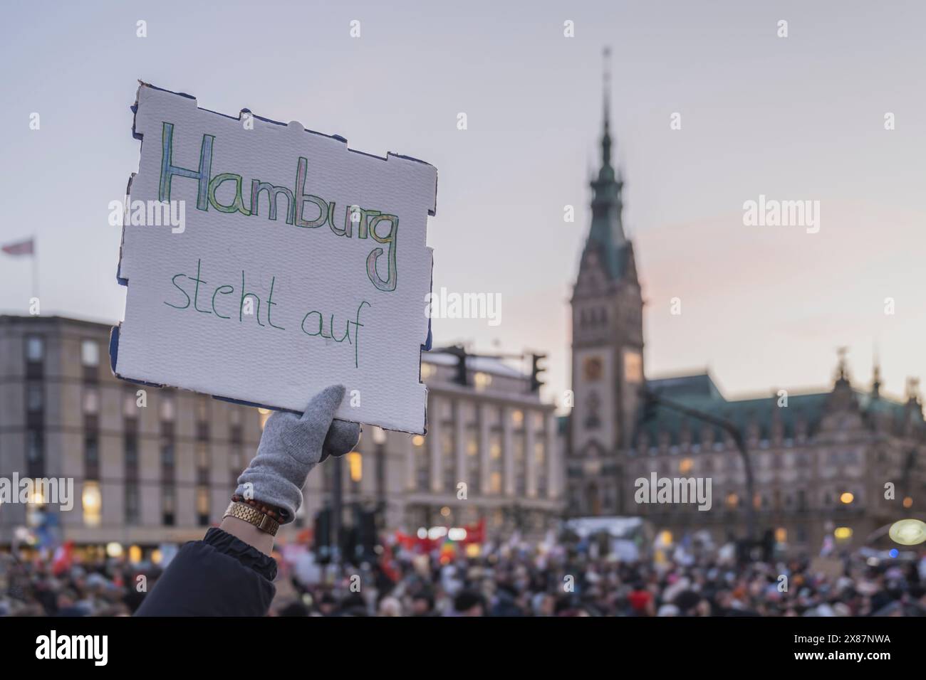 Germany, Hamburg, Crowd of people protesting in front of town hall Stock Photo