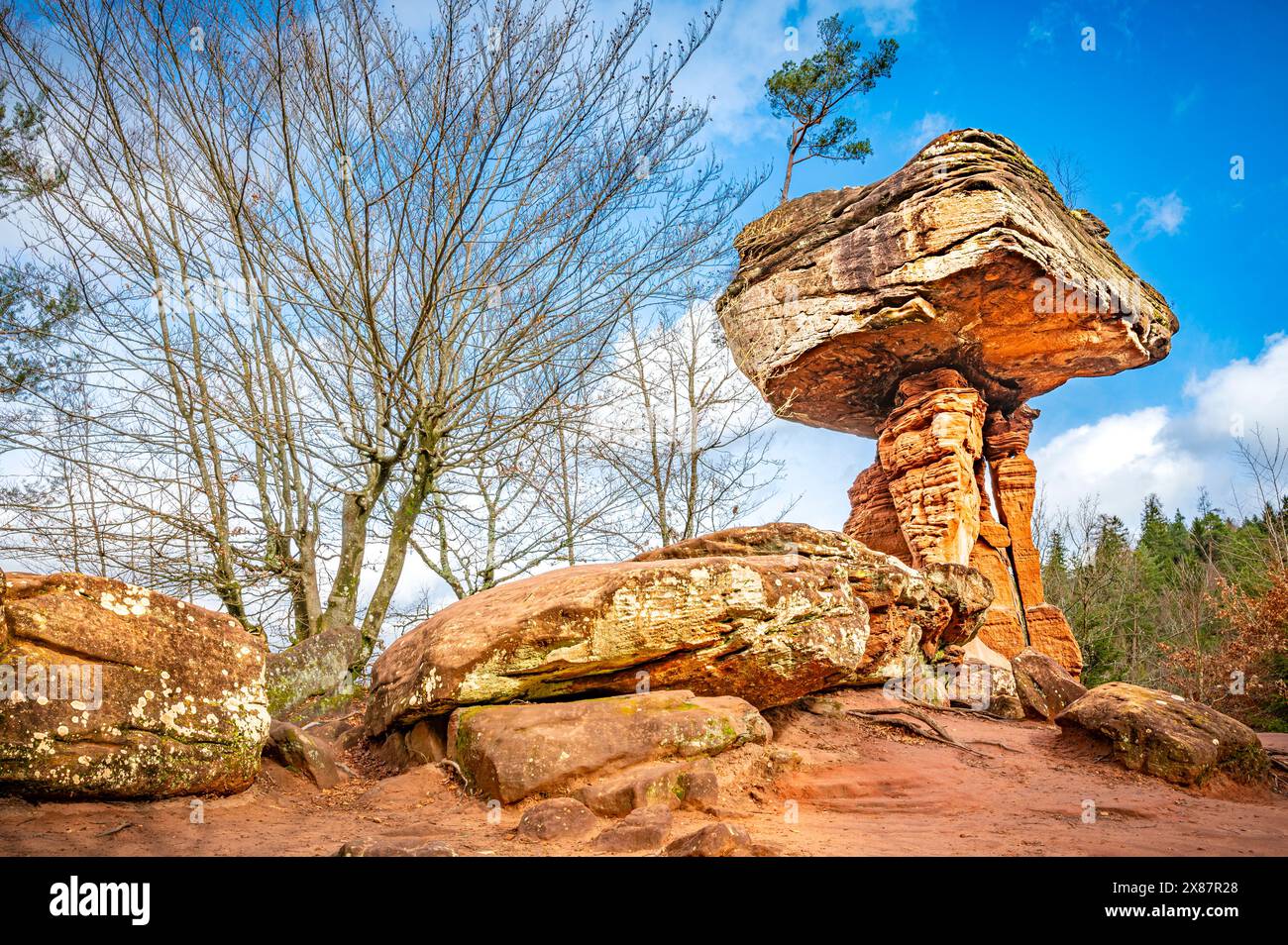 Germany, Rhineland-Palatinate, Hinterweidenthal, Devils Table mushroom rock Stock Photo
