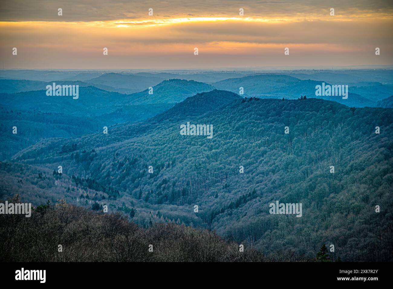 Germany, Rhineland-Palatinate, Forest seen from Luitpoldturm at dusk Stock Photo