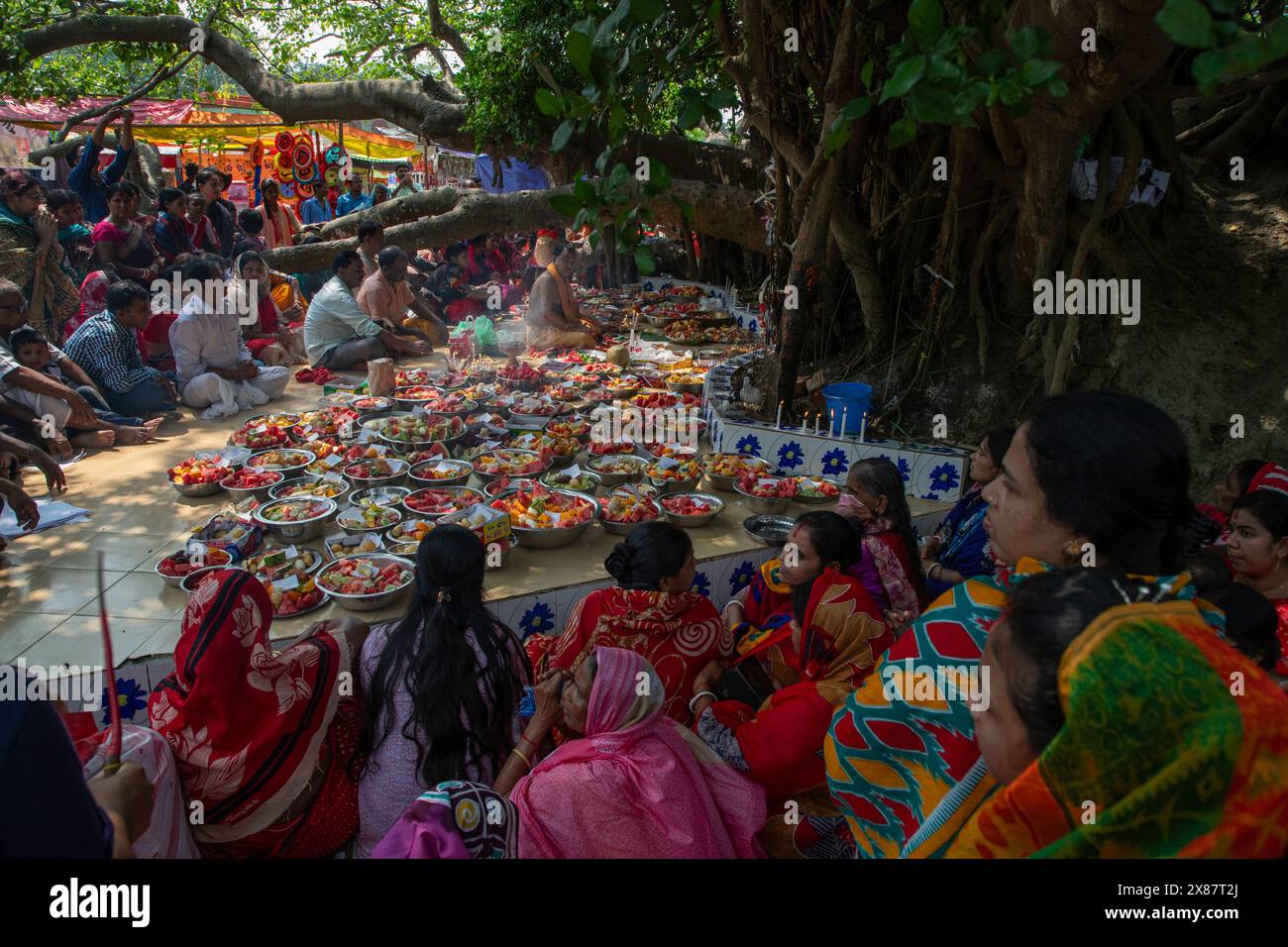 Local Indu Devotees gather to worship the banyan tree near Sonargaon Upazila ...